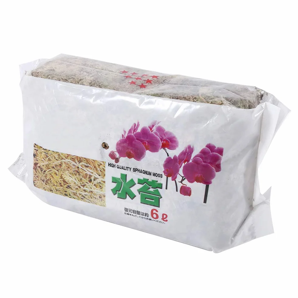 Musgo de Fertilizante Orgánico para Phalaenopsis Orchid Sphagnum Moos 6L