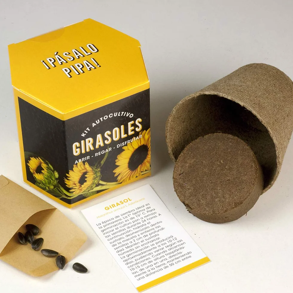 Kit Autocultivo Girasoles Cultiva en Casa Regalo Original Niños Adultos