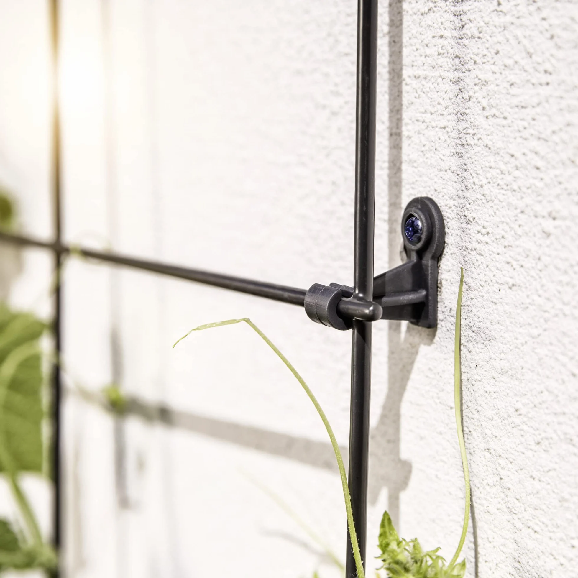Windhager Fijación de Pared para Rejilla de Metal, 32 x 16 x 33 mm, Antracita, 4 Unidades