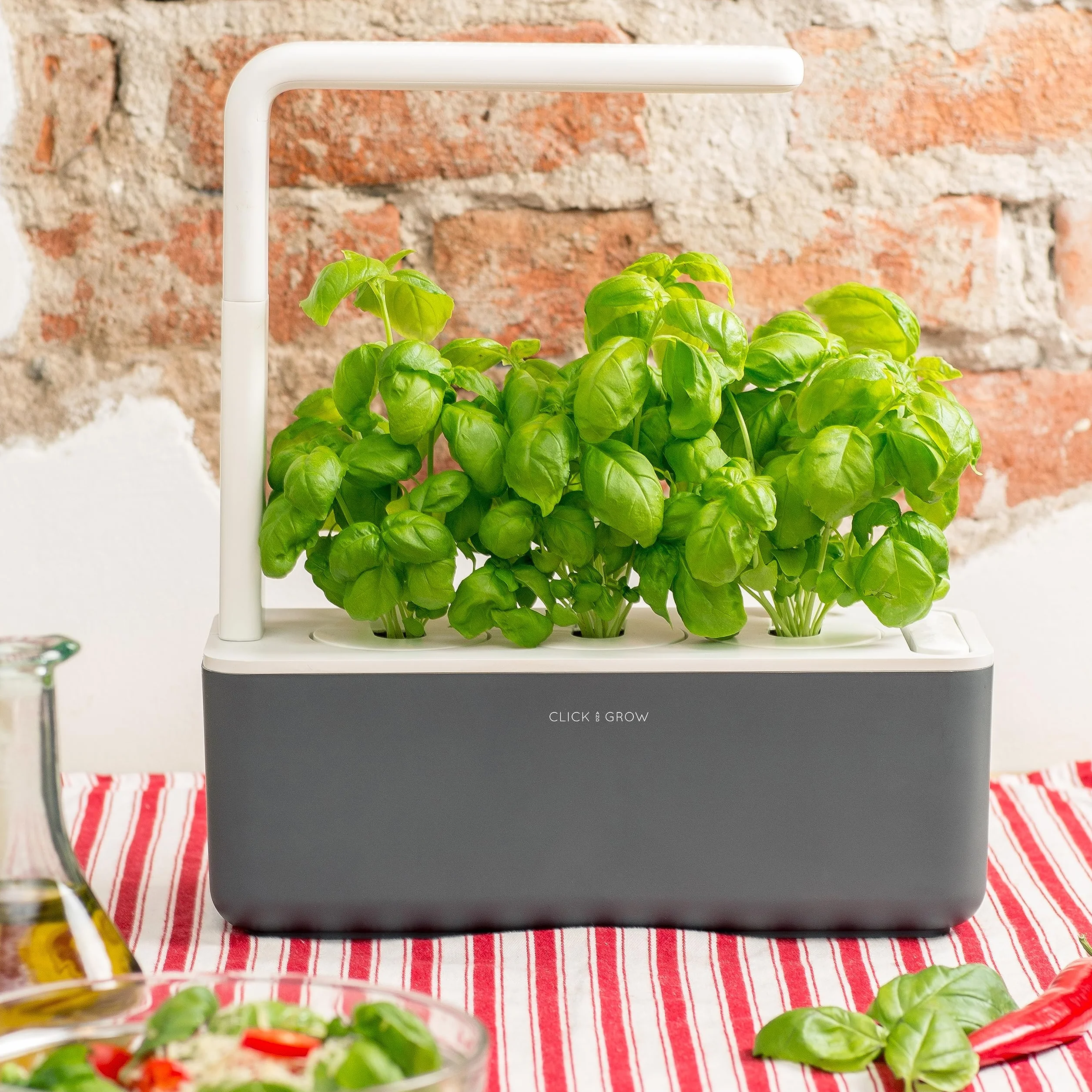 Click & Grow Recambio Cápsulas de Cultivo de Albahaca, Kit de 3 Unidades
