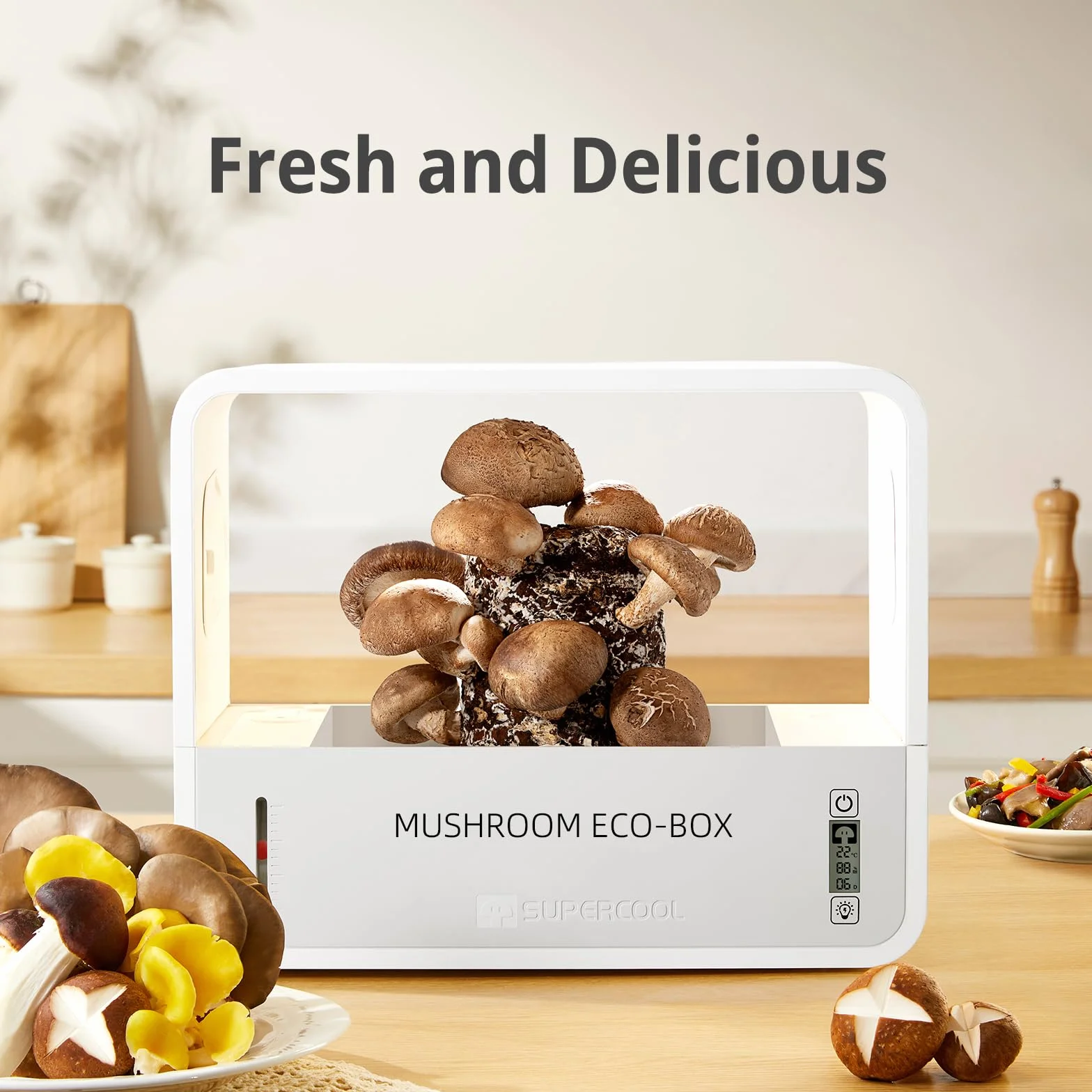 Caja de cultivo de hongos con pantalla de temperatura y humedad, kit inteligente monotub con luz de crecimiento