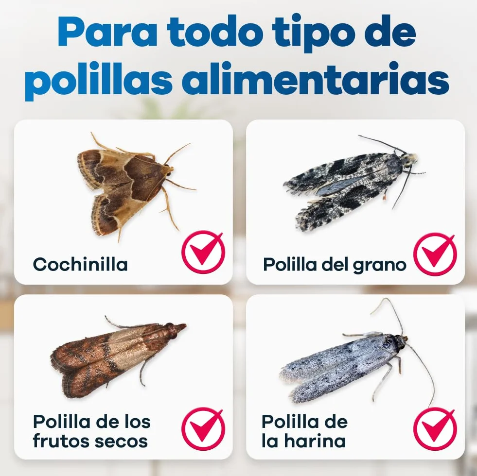Gerobug Trampa Polillas Alimentos 10 Unidades - Trampa de feromonas para Protección de Alimentos