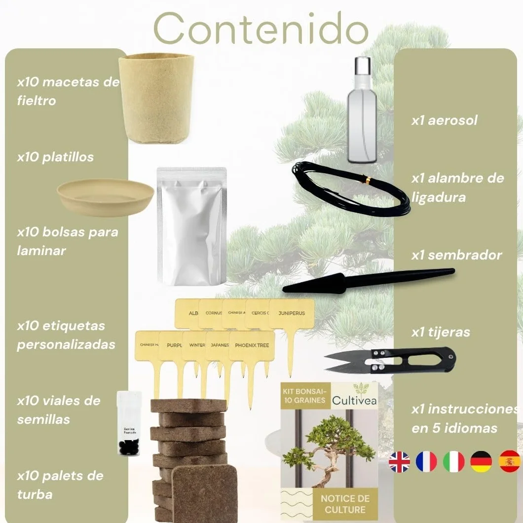 CULTIVEA® Kit 10 Bonsáis para Cultivar – Kit Cultivo Bonsái Completo con Semillas, Macetas y Herramientas