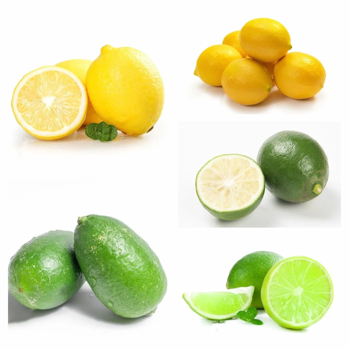 Semillas de Limonero Resistentes 120 Piezas Limón Cítrico Fruta Fresca Plantas de Balcón