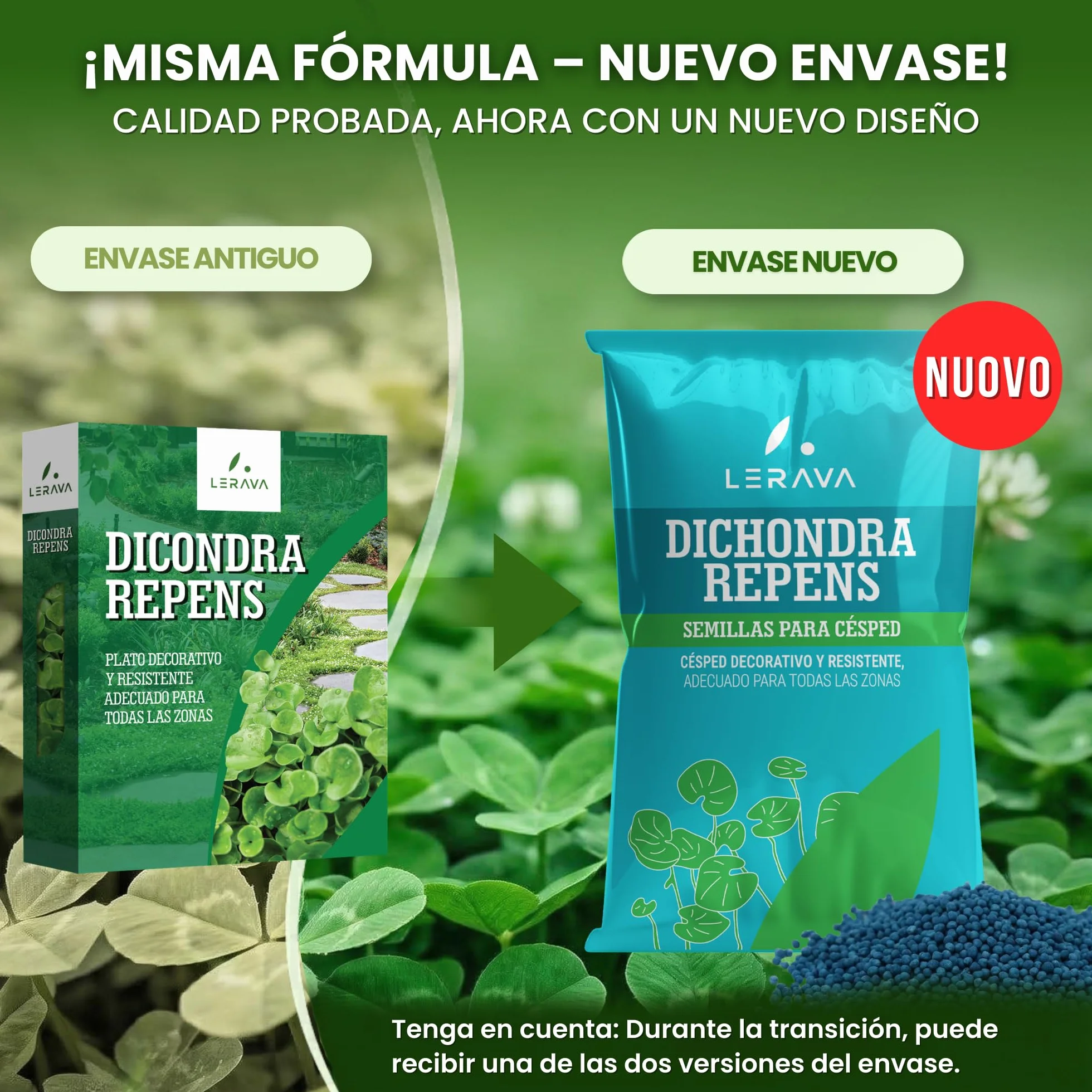 LERAVA Dichondra repens semillas 20m² Resistencia a la sequía 200g