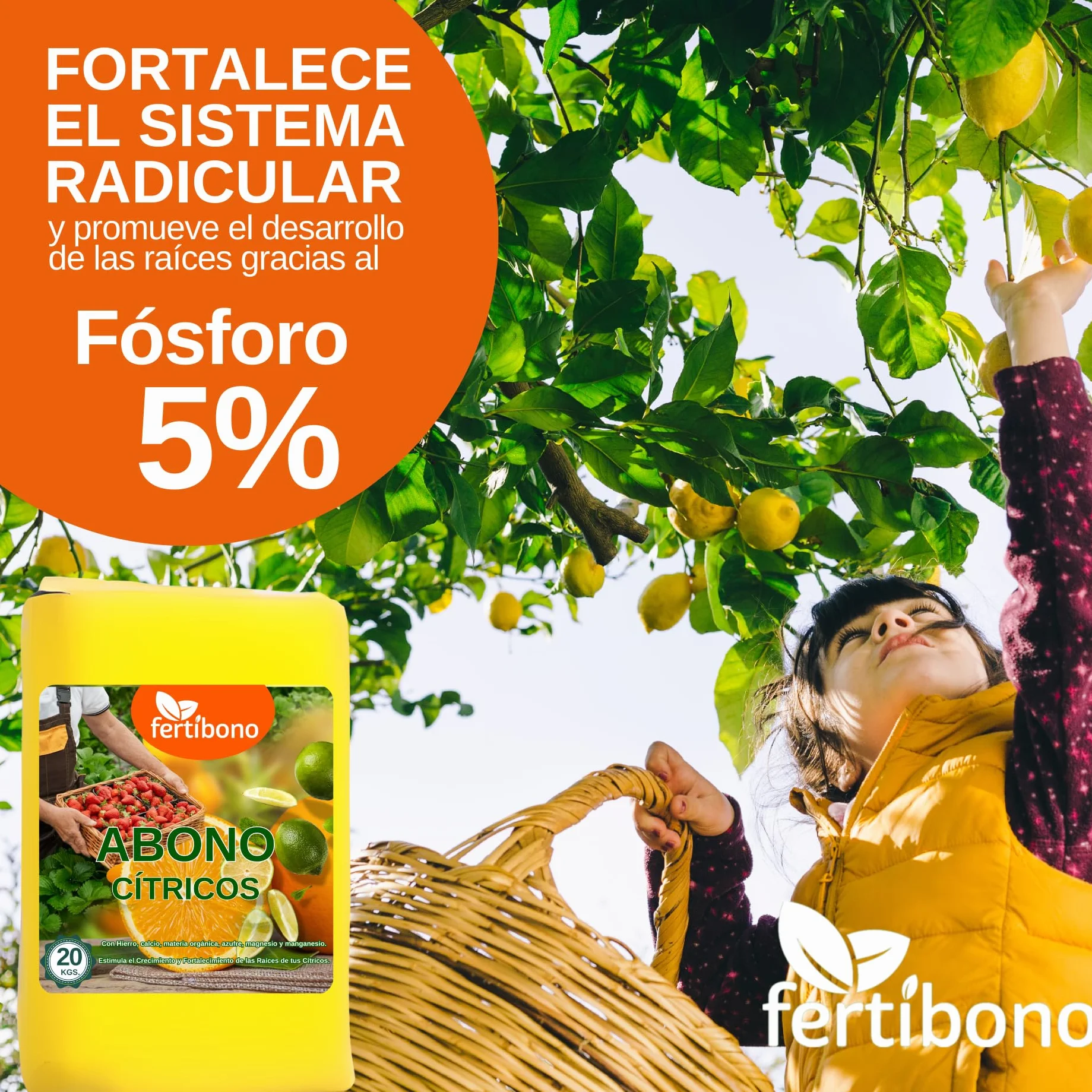 FERTIBONO Abono Cítricos 20-5-11 20Kg con Hierro Calcio Azufre Magnesio Manganeso