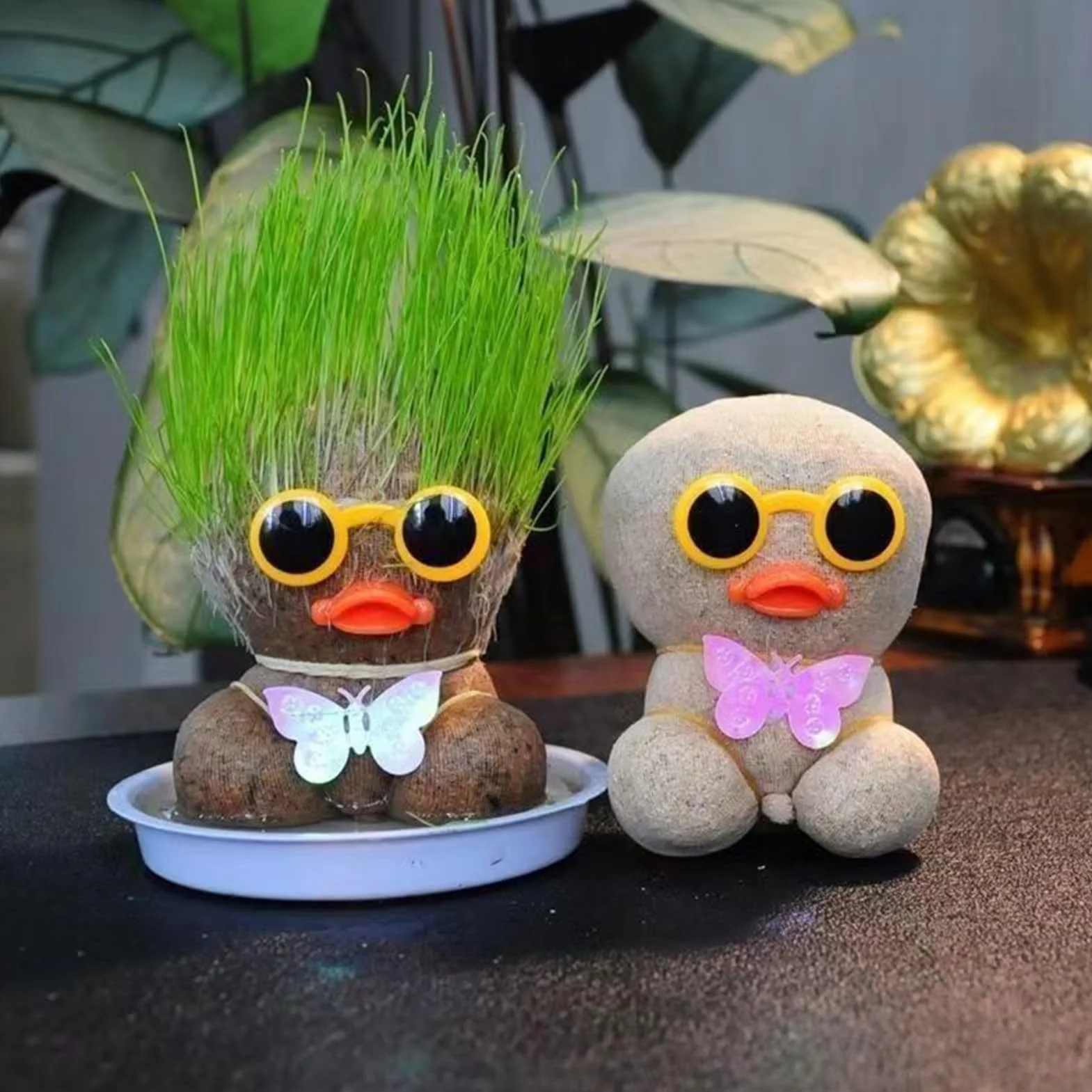 Muñeca De Hierba Kit Para Crecer Su Propio Cabello 10 Cm Decoración Educativa De Plantas