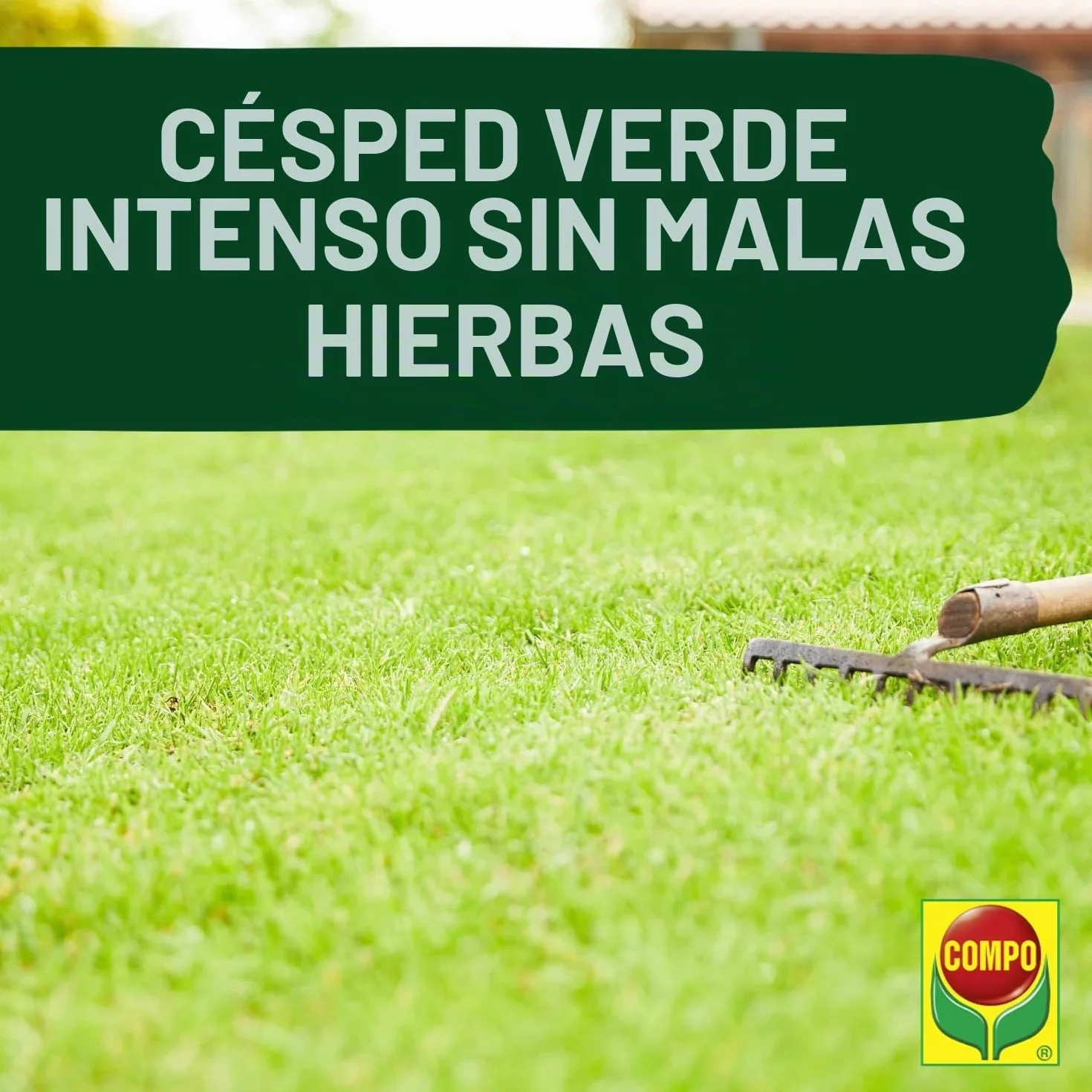 Compo Abono para césped con herbicida 12 kg 400 m² Primavera