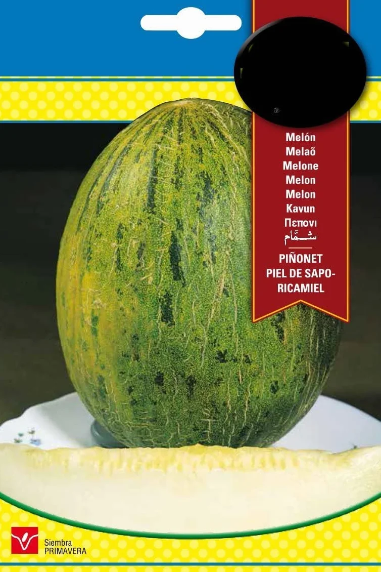 Semillas Melón Piel de Sapo Torpedo Huerto