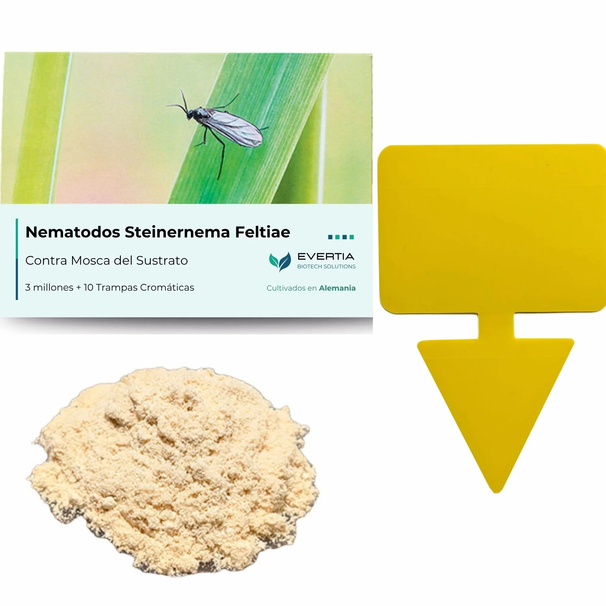 Nematodos contra Mosca del Sustrato, Mosquitos Plantas Interior, 3 Millones + 10 Trampas Amarillas