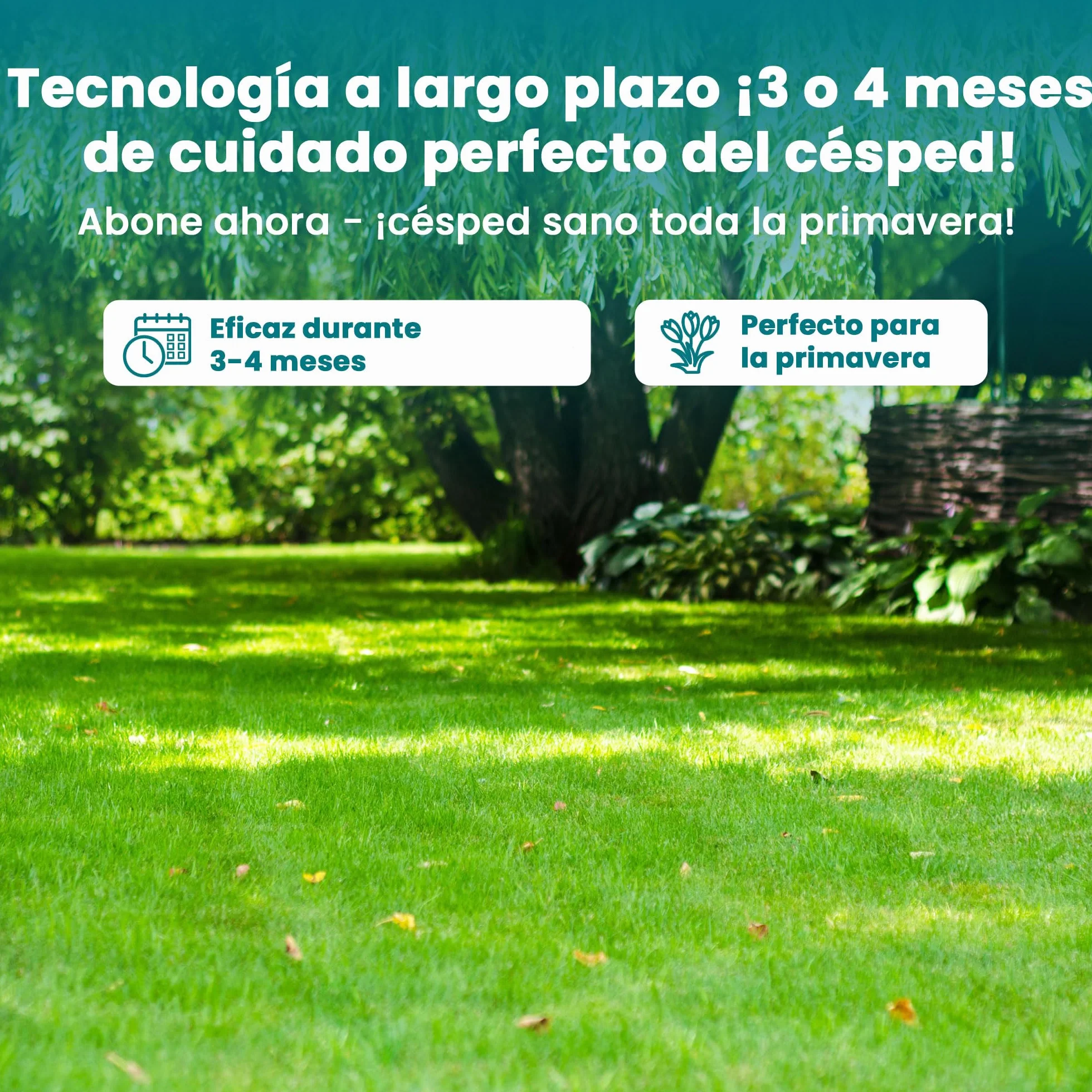 LERAVA Fertilizante césped liberación lenta 85 m² Abono granulado con magnesio y microelementos