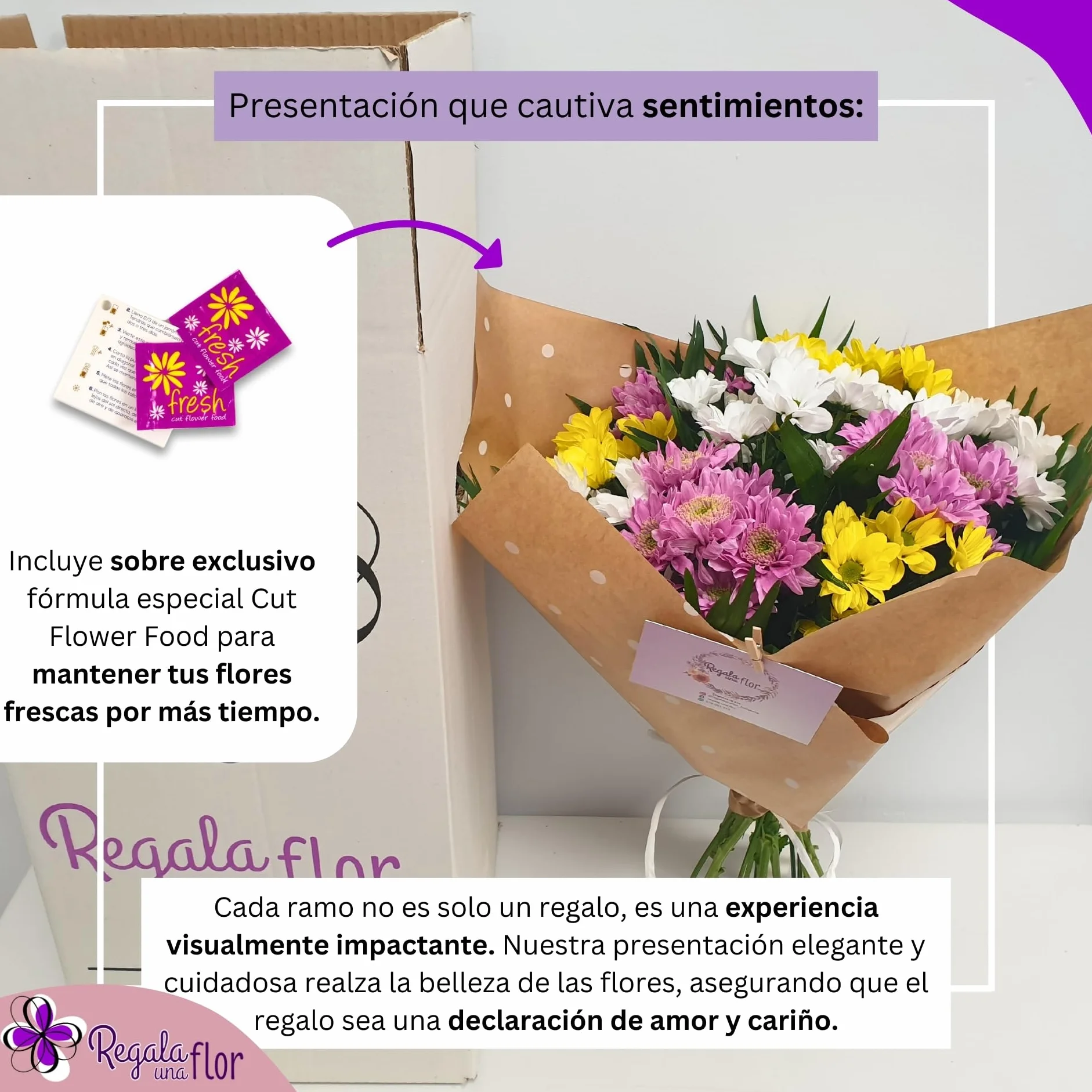 Ramo de flores naturales a domicilio Margaritas variadas con tarjeta de dedicatoria