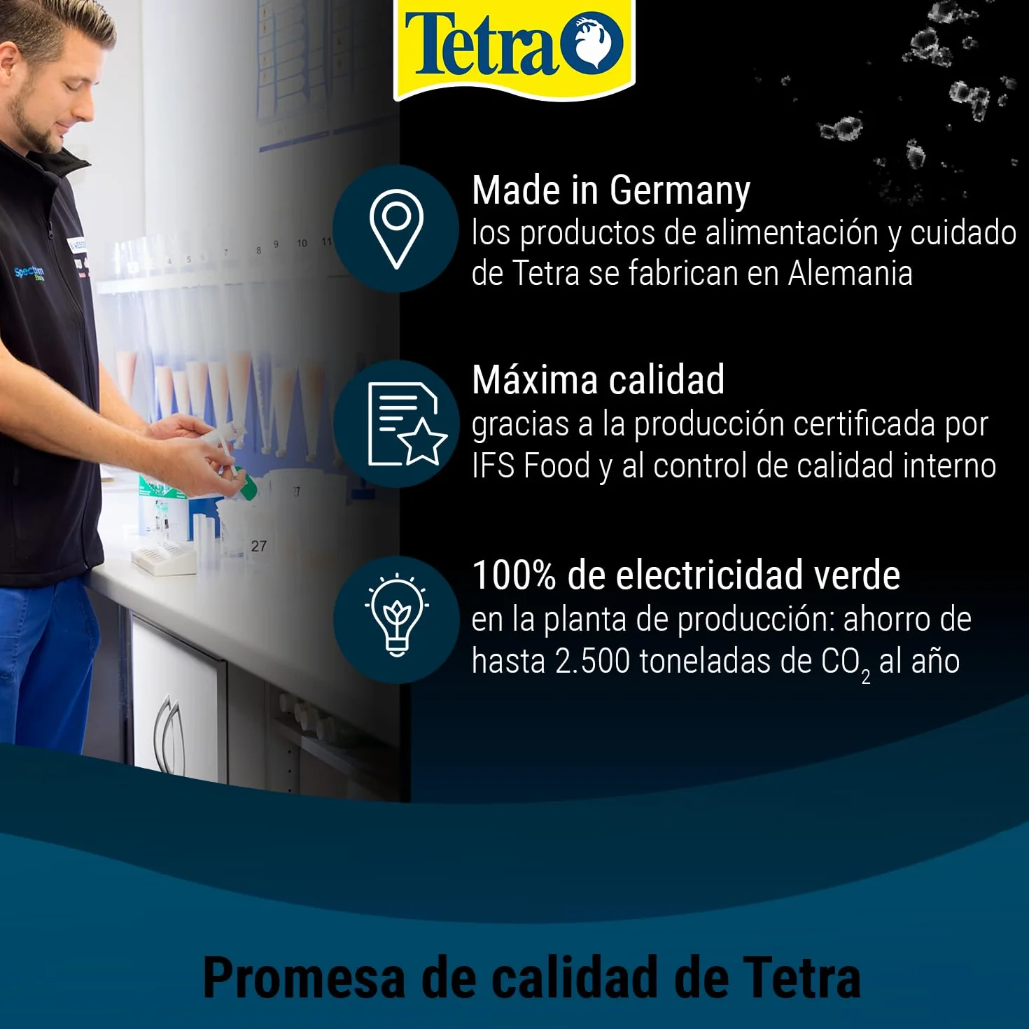 Tetra PlantaStart 12 tabletas estimulante crecimiento plantas trasplantadas