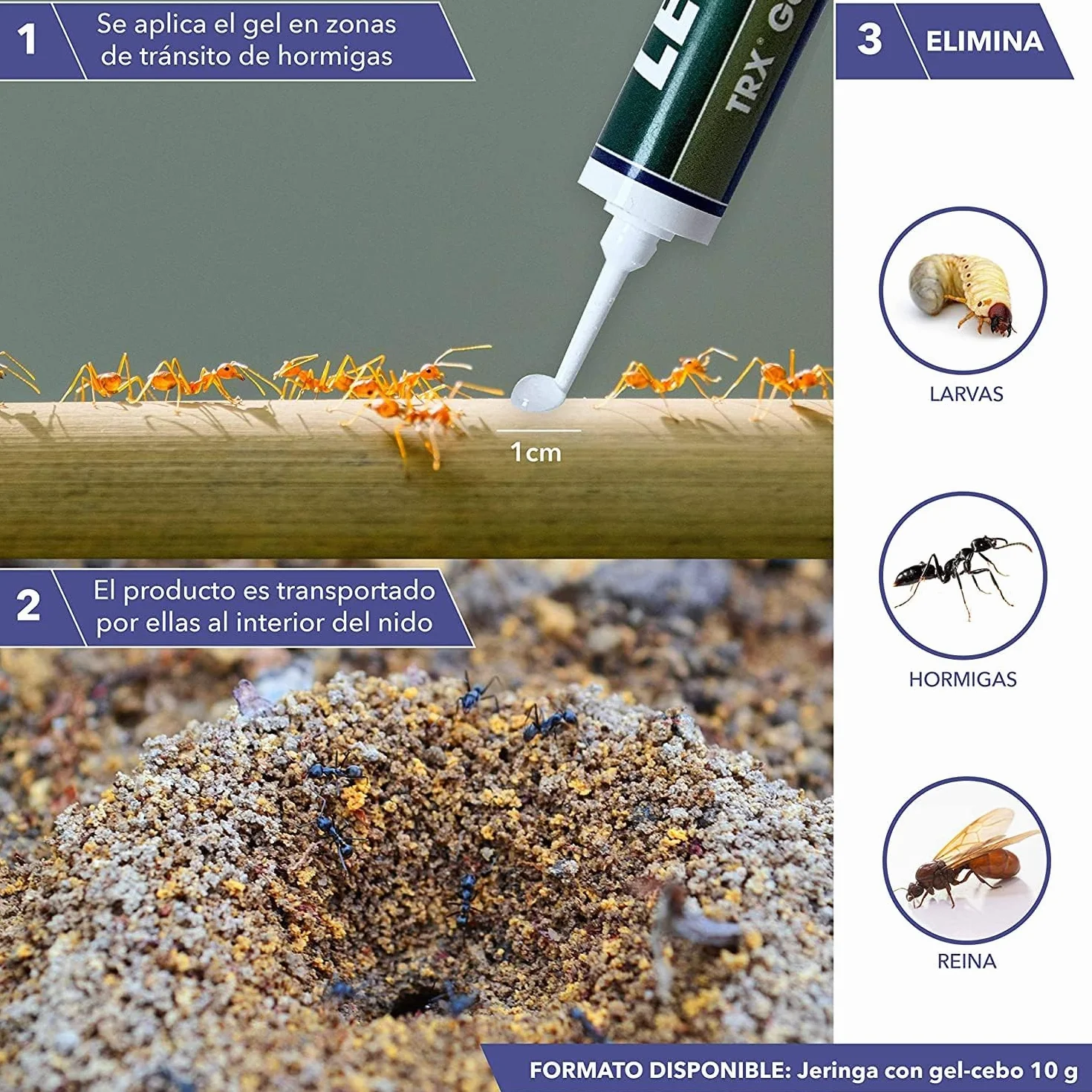 ZOTAL Gel Anti Hormigas Pack 2 Unidades Insecticida en Jeringuilla Efecto Retardado