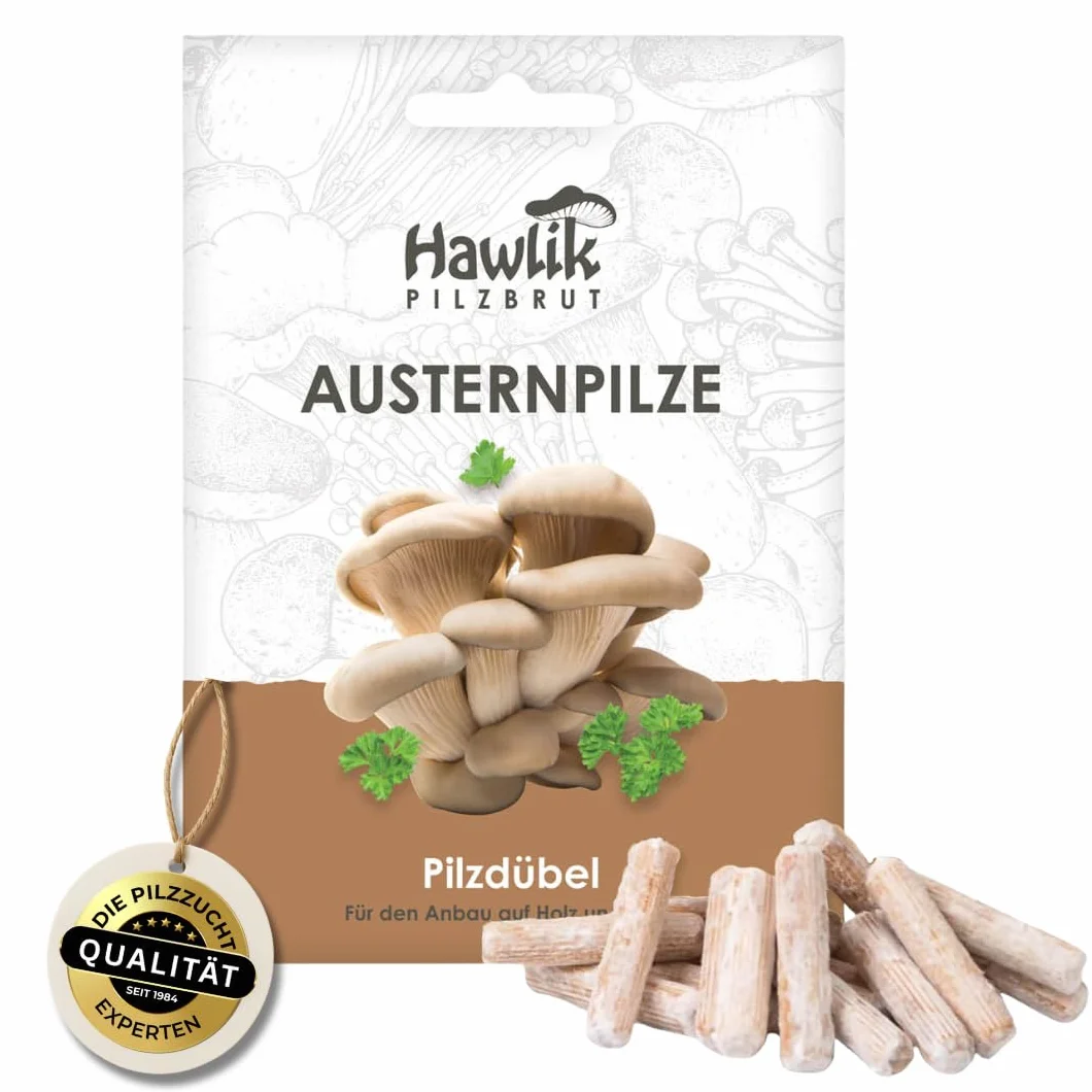 Hawlik Pilzbrut I setas de ostra para cultivar usted mismo - 20 espigas con micelios de champiñon