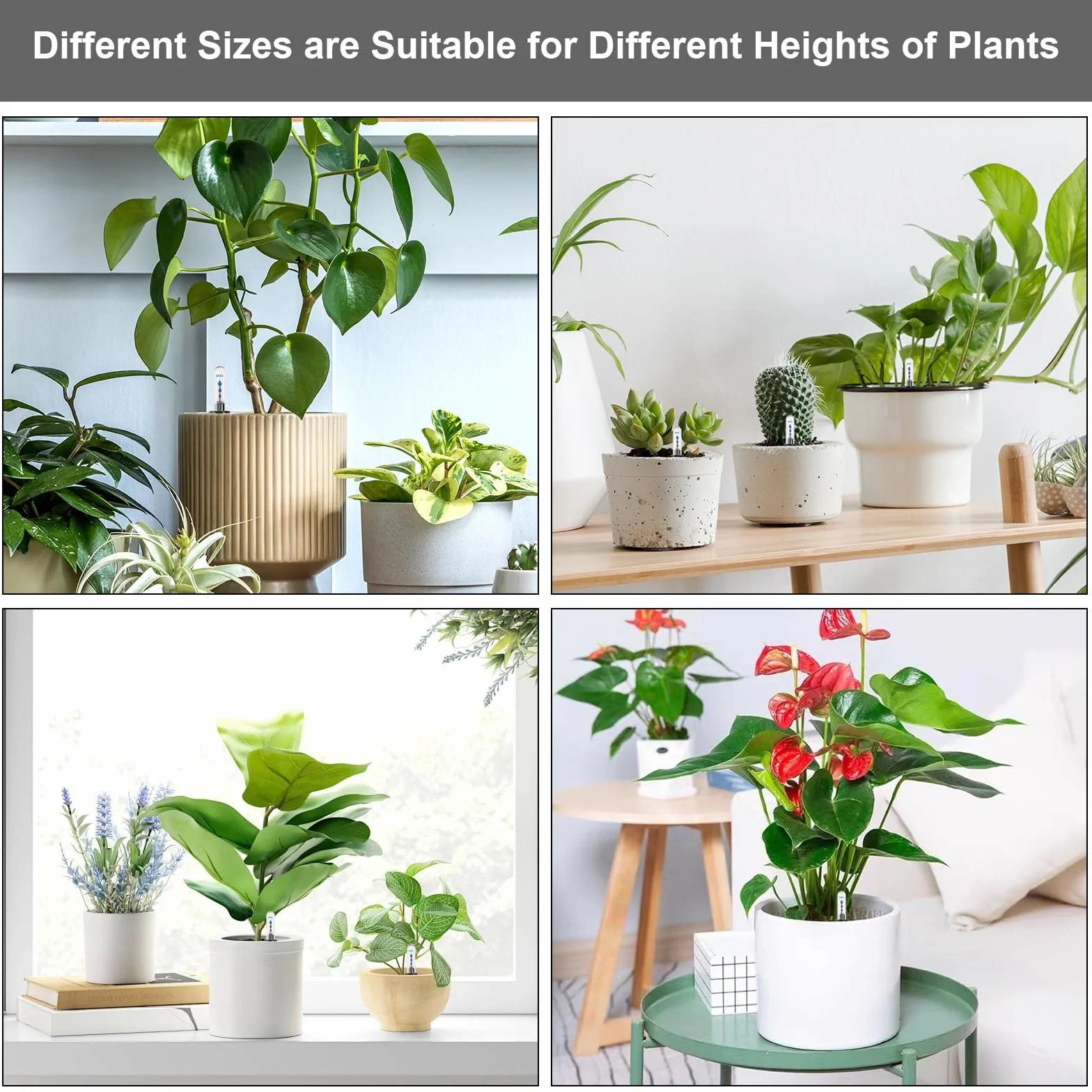 Indicador de nivel de agua para plantas, 12 unidades, plástico