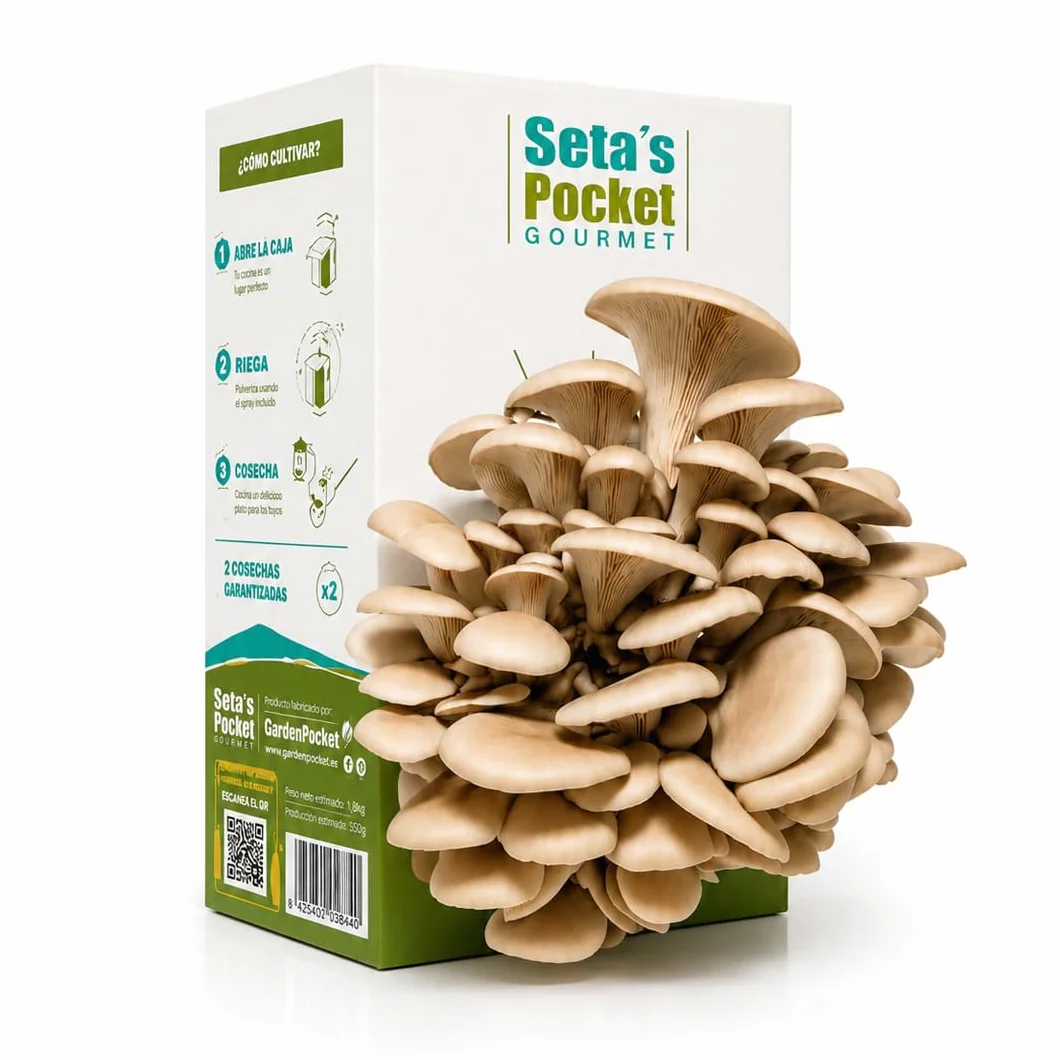 Kit Cultivo de Setas en Casa – Cultiva Setas Gourmet en 10 Días con Pulverizador e Instrucciones
