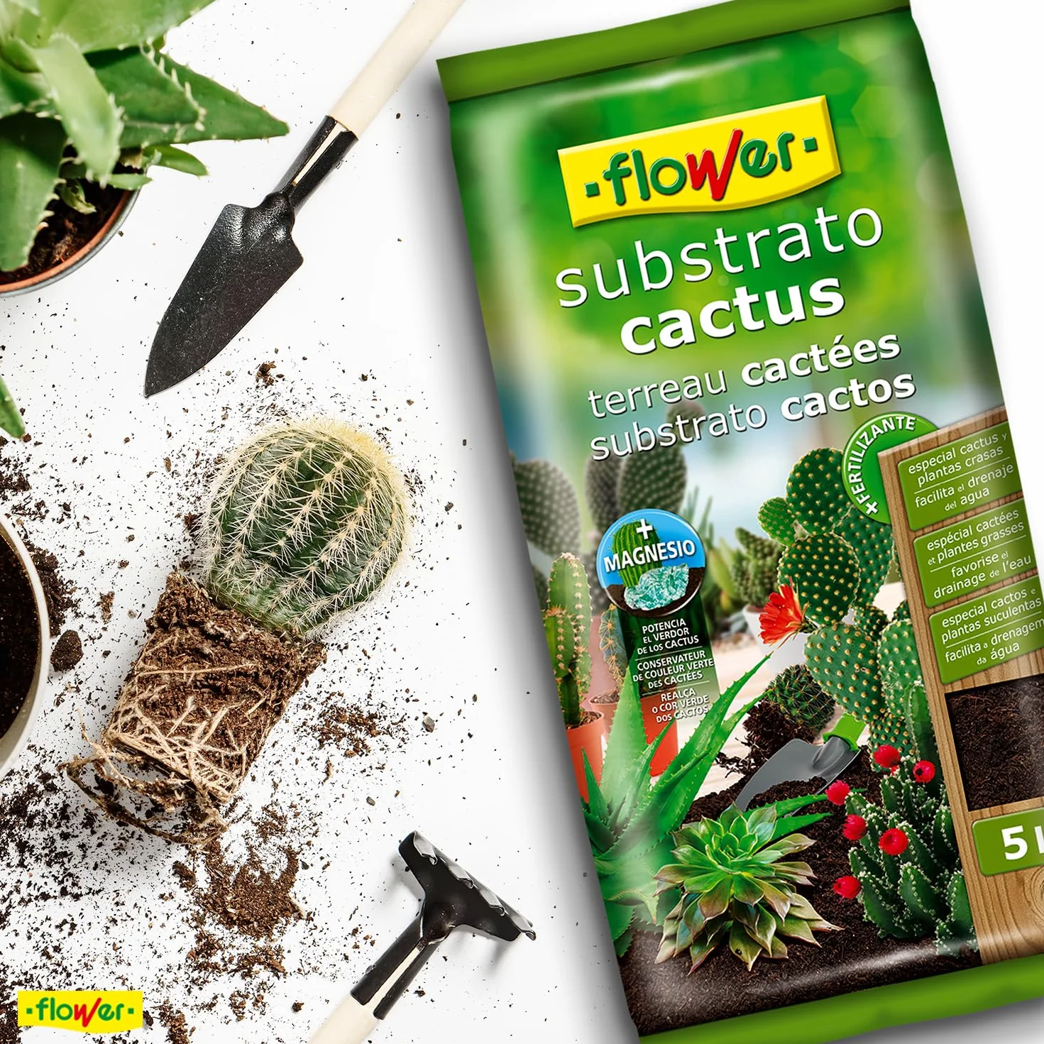 Sustrato para Cactus y Crasas 5 L con Áridos, Piedra Volcánica y Abono
