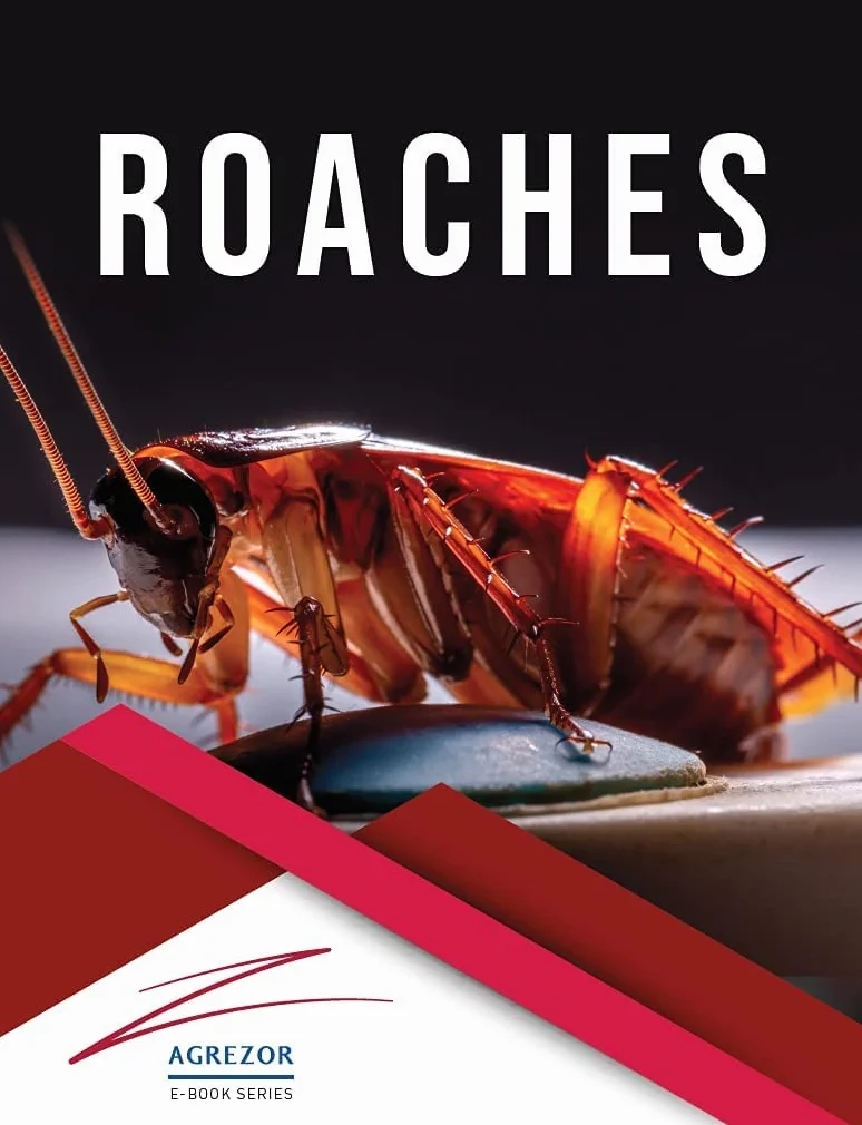 Catchmaster 100i Trampas para Cucarachas 30 Piezas Adhesivas Sin Veneno