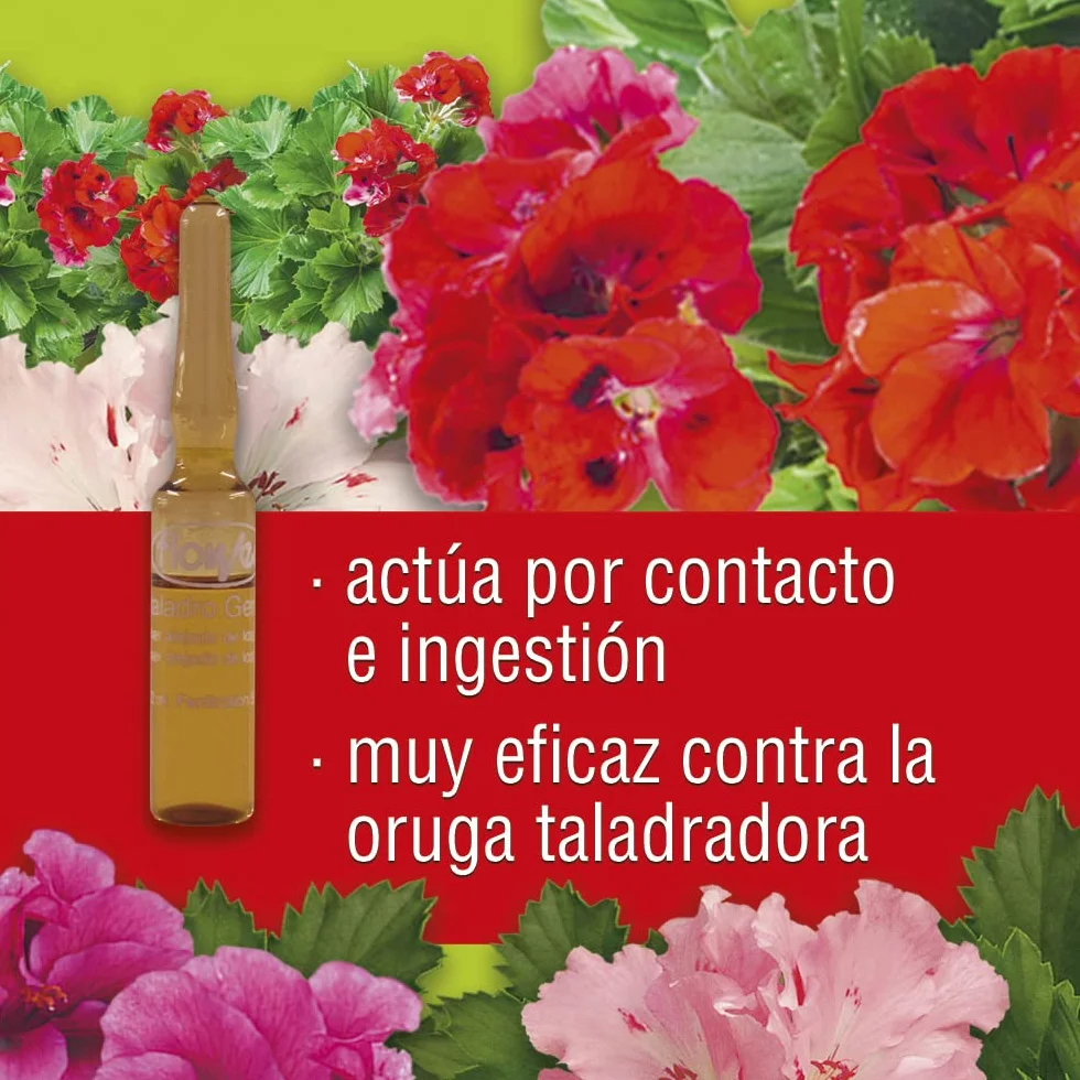 Antitaladro del Geranio Monodosis 3x3 ml Insecticida contra Oruga Taladro Acción por Contacto e ingestión
