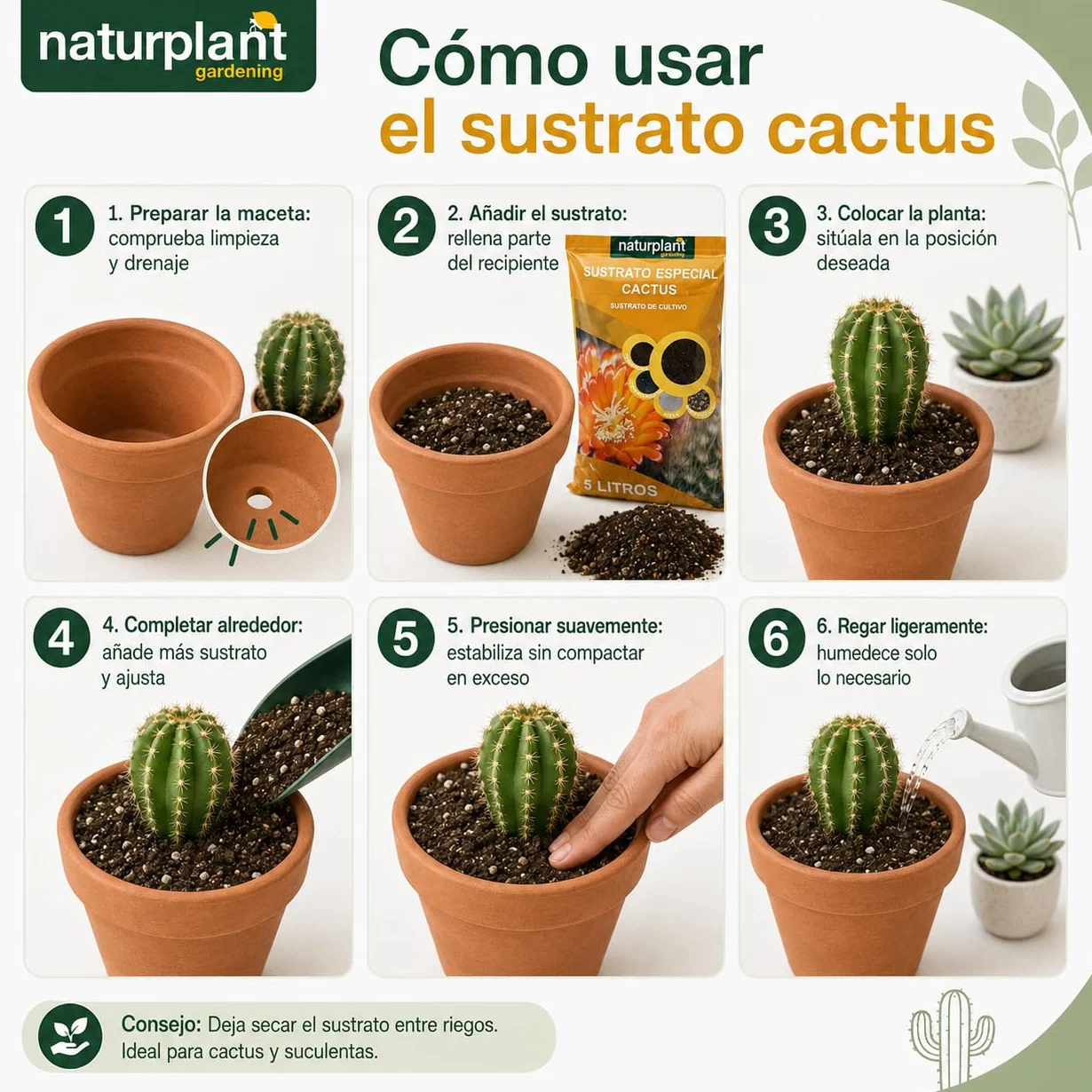 Sustrato Especial para Cactus 5 litros Naturplant