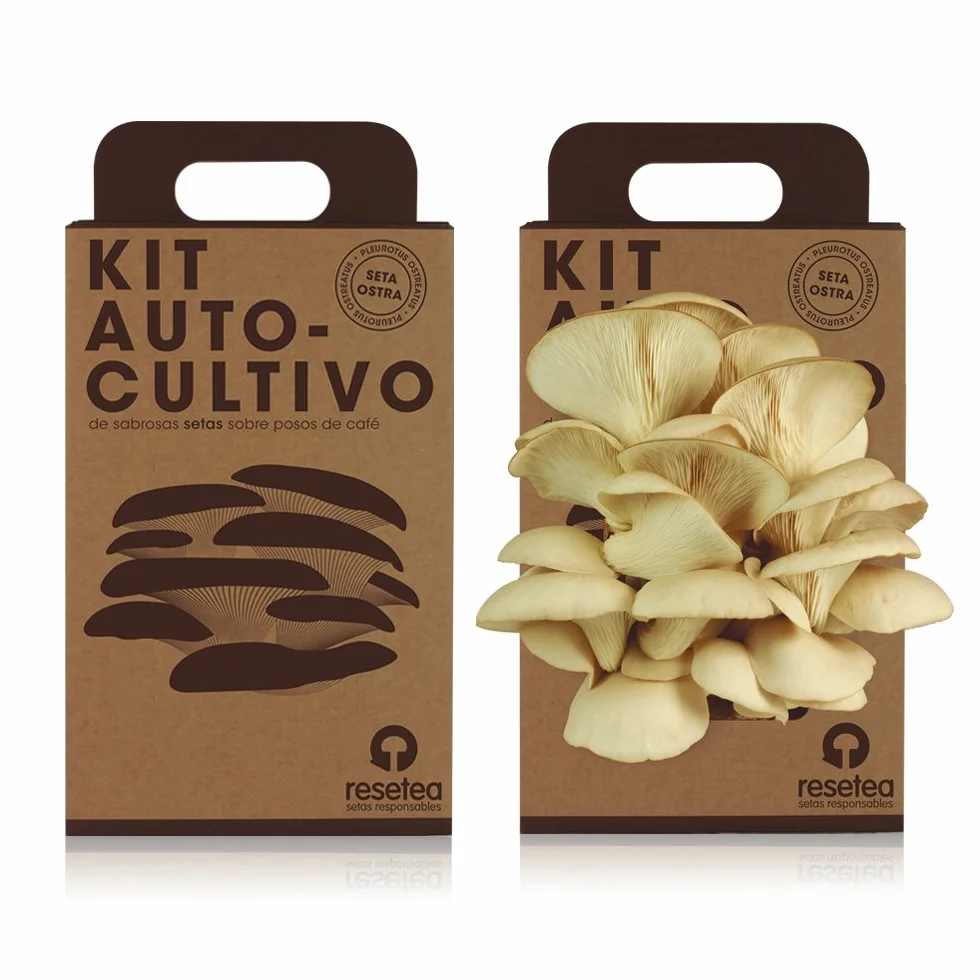 Kit Cultivo de Setas Ostra Gourmet Listas en 15 Días Cultiva Tus Propias Setas Frescas