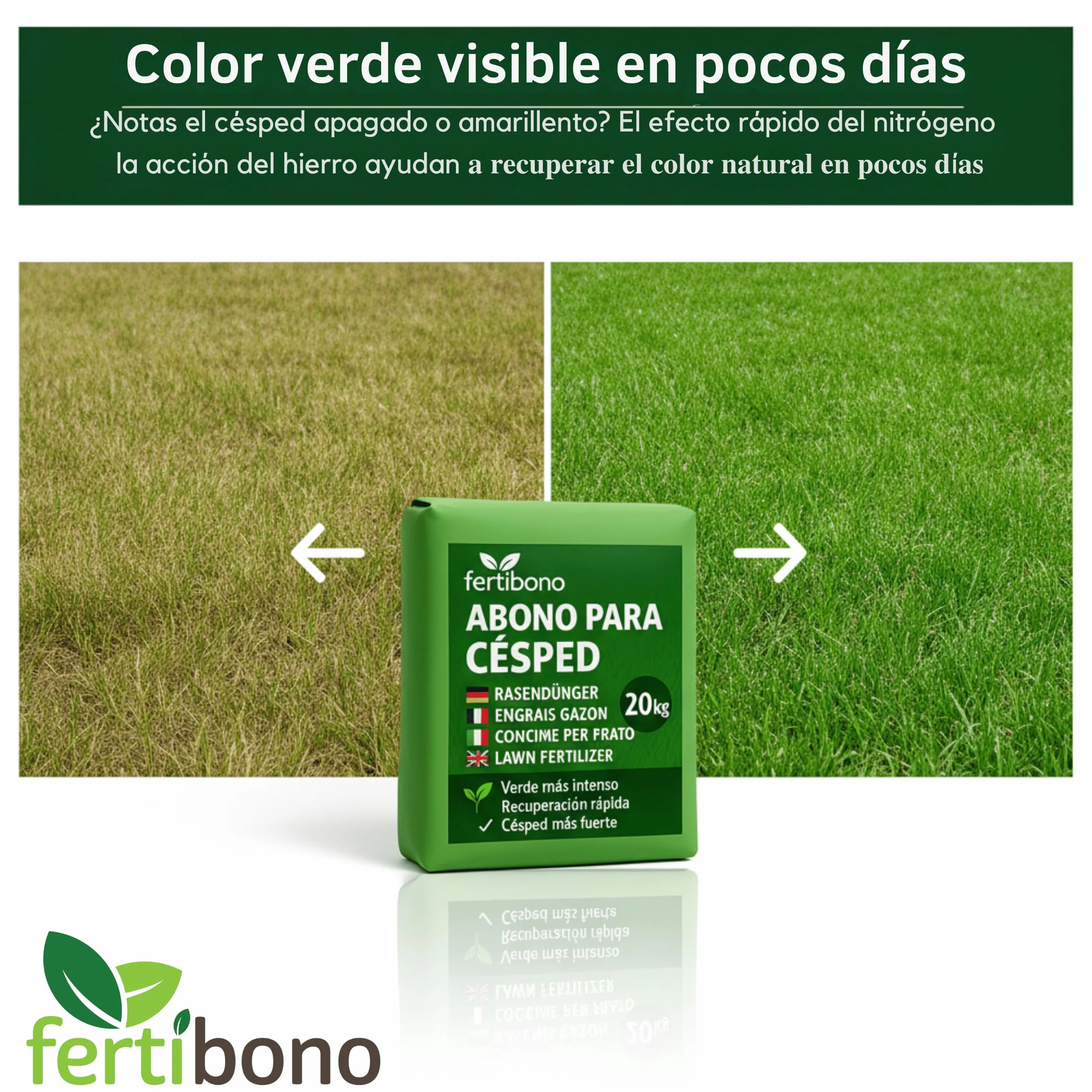 FERTIBONO Abono Cesped 20 kg NPK con Magnesio Hierro Manganeso Azufre Hasta 800 m2