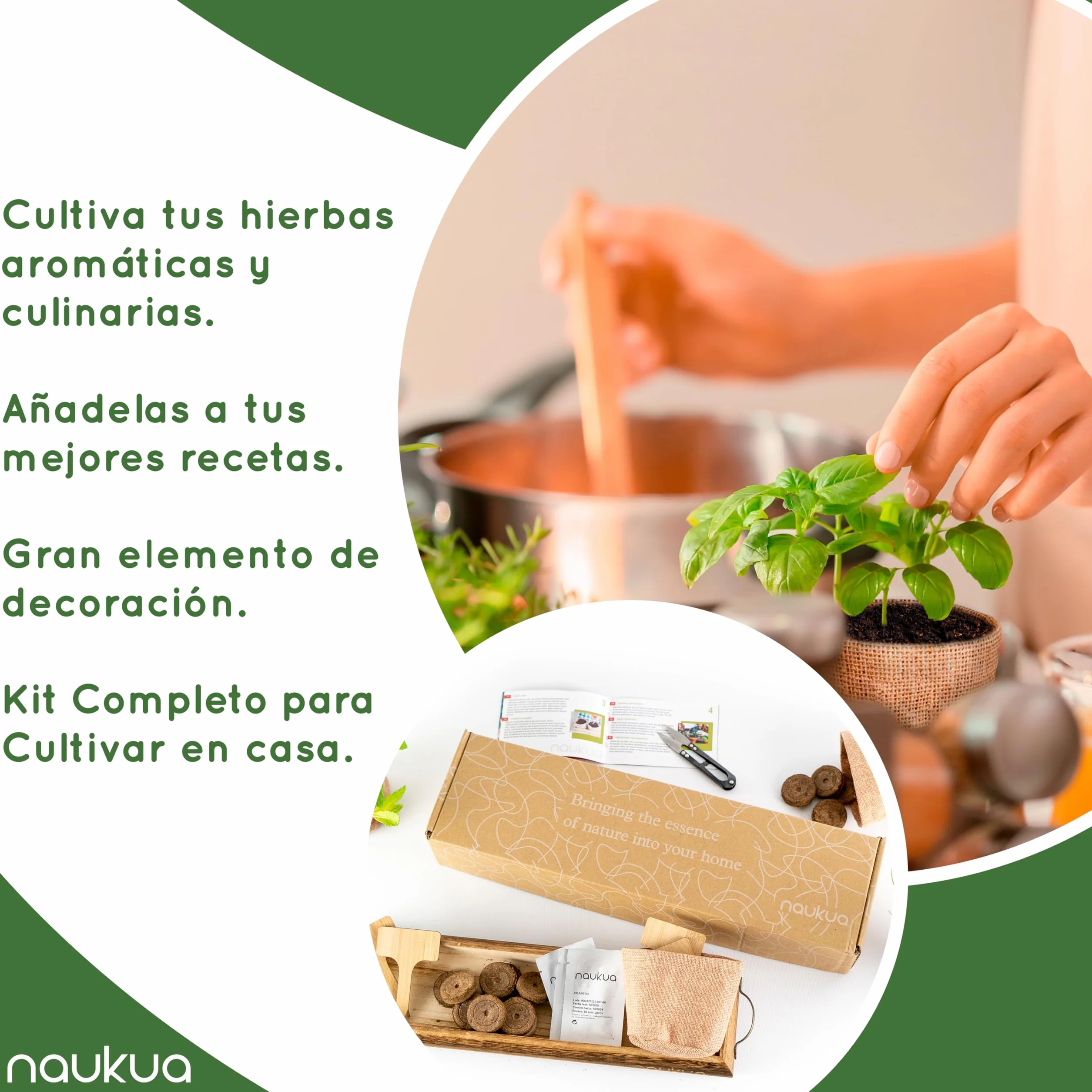 Mini Huerto Urbano Vintage Semillas Orgánicas España Kit Completo Hierbas Aromáticas Culinarias Tomillo Albahaca Perejil Cilantro