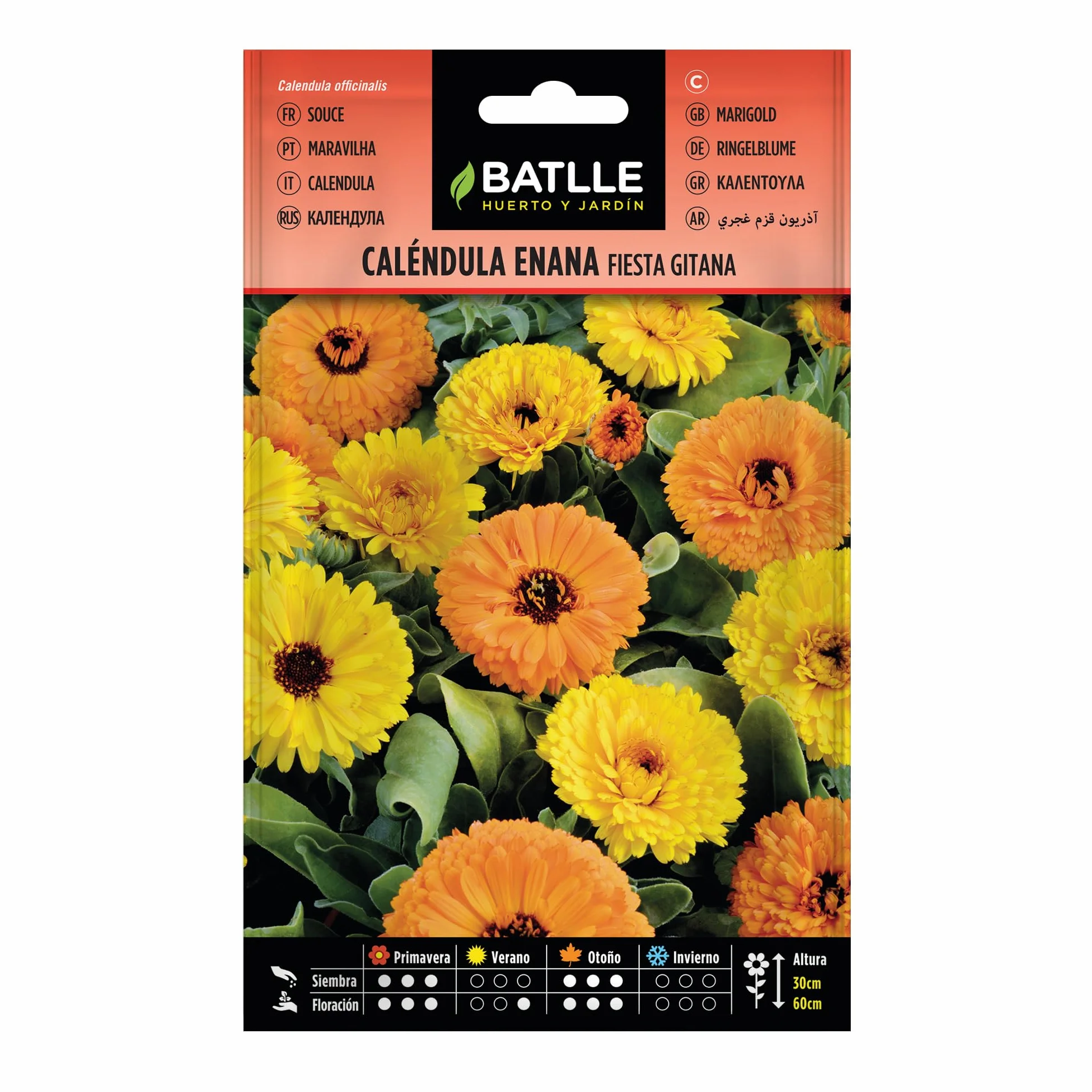 Calendula enana FIESTA GITANA