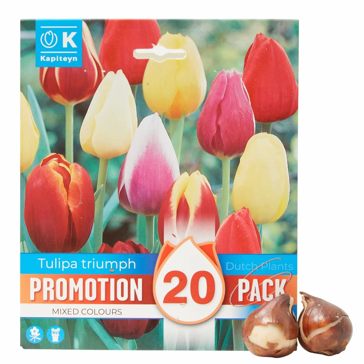 Verdecora Tulipan Mix natural Bulbo de Otoño 20 unidades