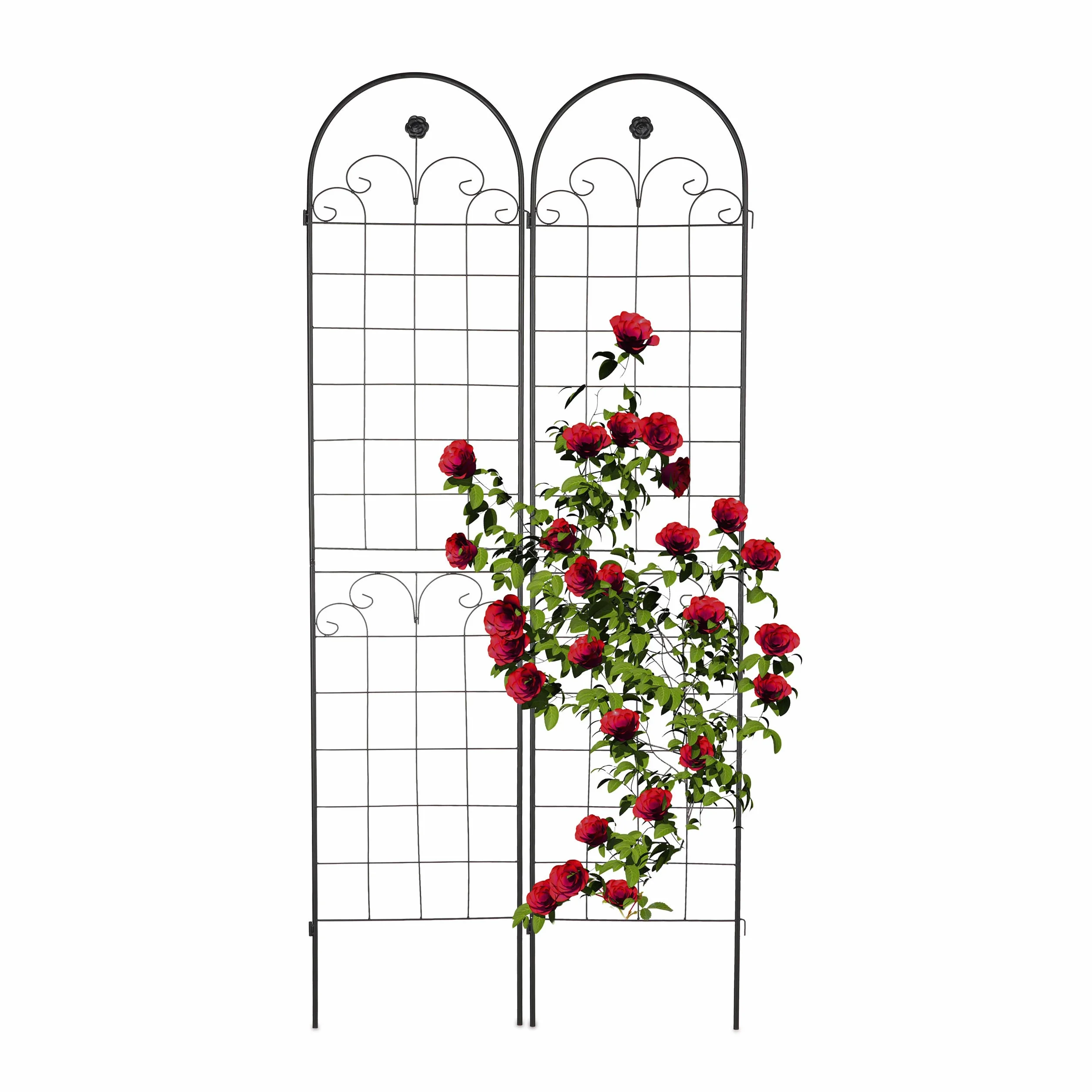Relaxdays Soportes para Plantas, Set de 2, 220 x 50 cm, Metal, Enrejado para Enredaderas, Autónomos, con Estacas, Negro