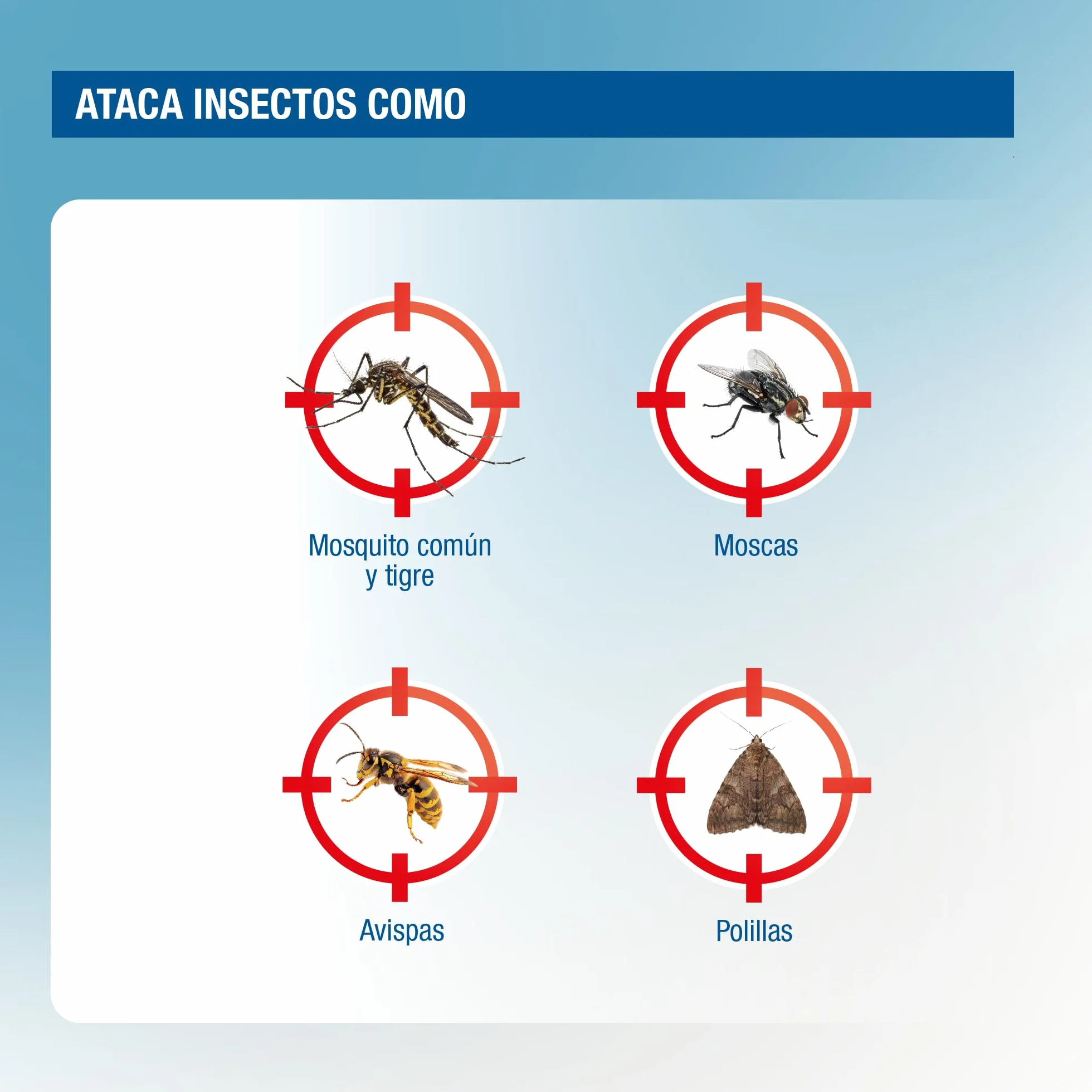 PROTECT HOME Insecticida Barrera de Protección Total Control Mosquitos y Moscas para Exteriores Interiores Textiles
