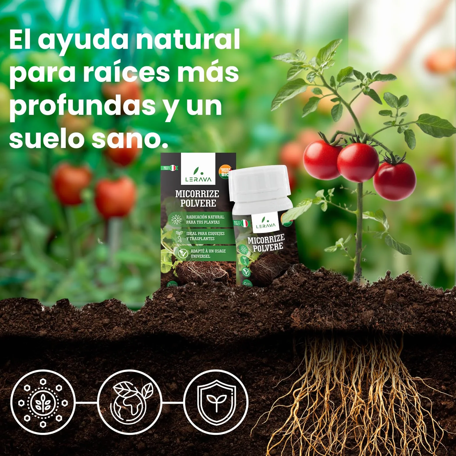LERAVA Micorrizas en Polvo (50 g) - Hongos Micorrícicos Naturales - Favorece el Enraizamiento de Esquejes y Orquídeas - Abono Orgánico Soluble para Plantas