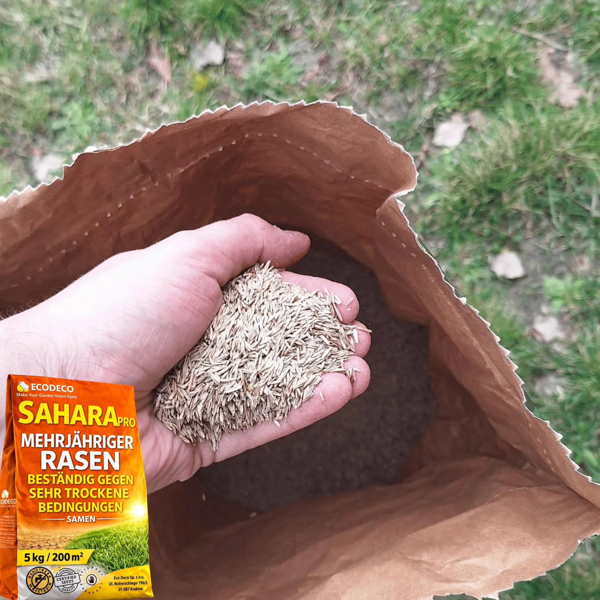 Semillas Cesped Repoblador Rapido 5kg - Gramíneas Perennes para Sequía Extrema y Áreas Soleadas