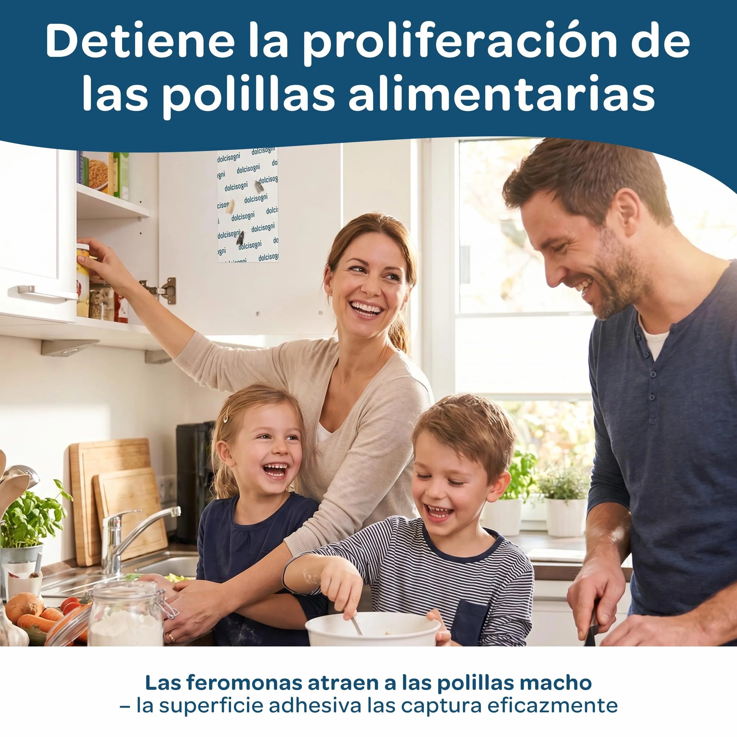 DOLCI SOGNI Trampa Polillas Alimentos 12 Hojas Antipolillas sin Biocidas Made in Germany Trampa Adhesiva Feromonas