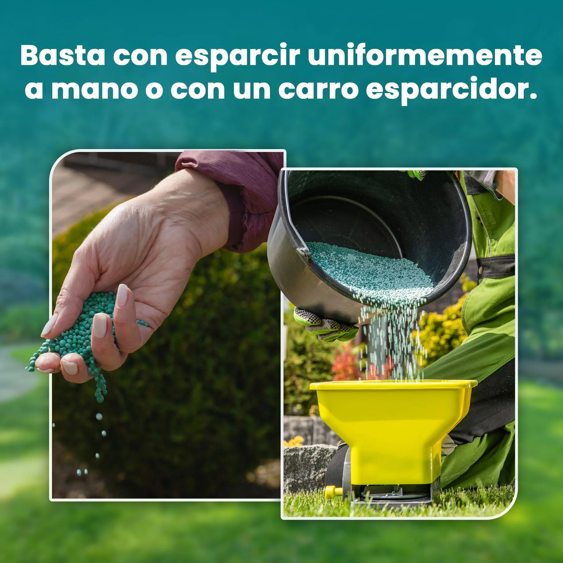 LERAVA Fertilizante césped liberación lenta 85 m² Abono granulado con magnesio y microelementos