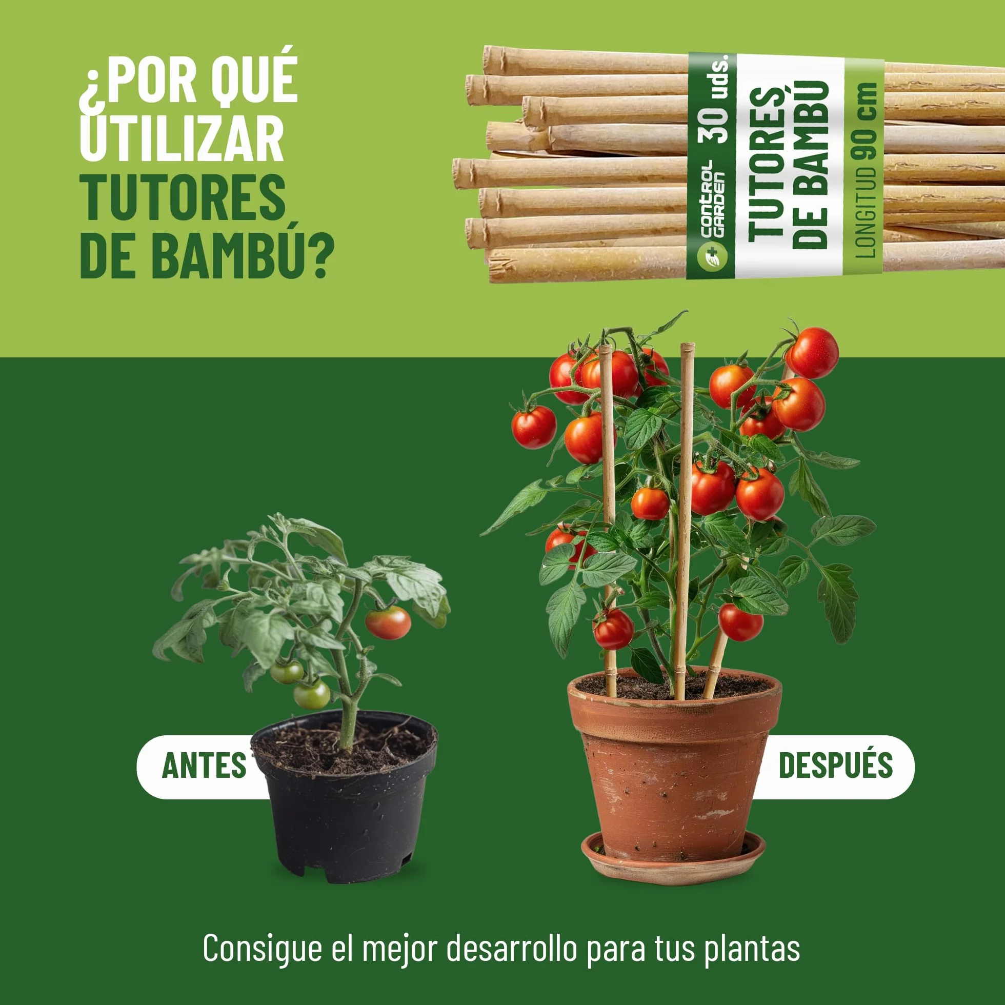 Control Garden Pack 30 Unidades Tutor de Bambú Ecológico 180 cm Estaca Natural Caña Sujetar Plantas ø 10-12