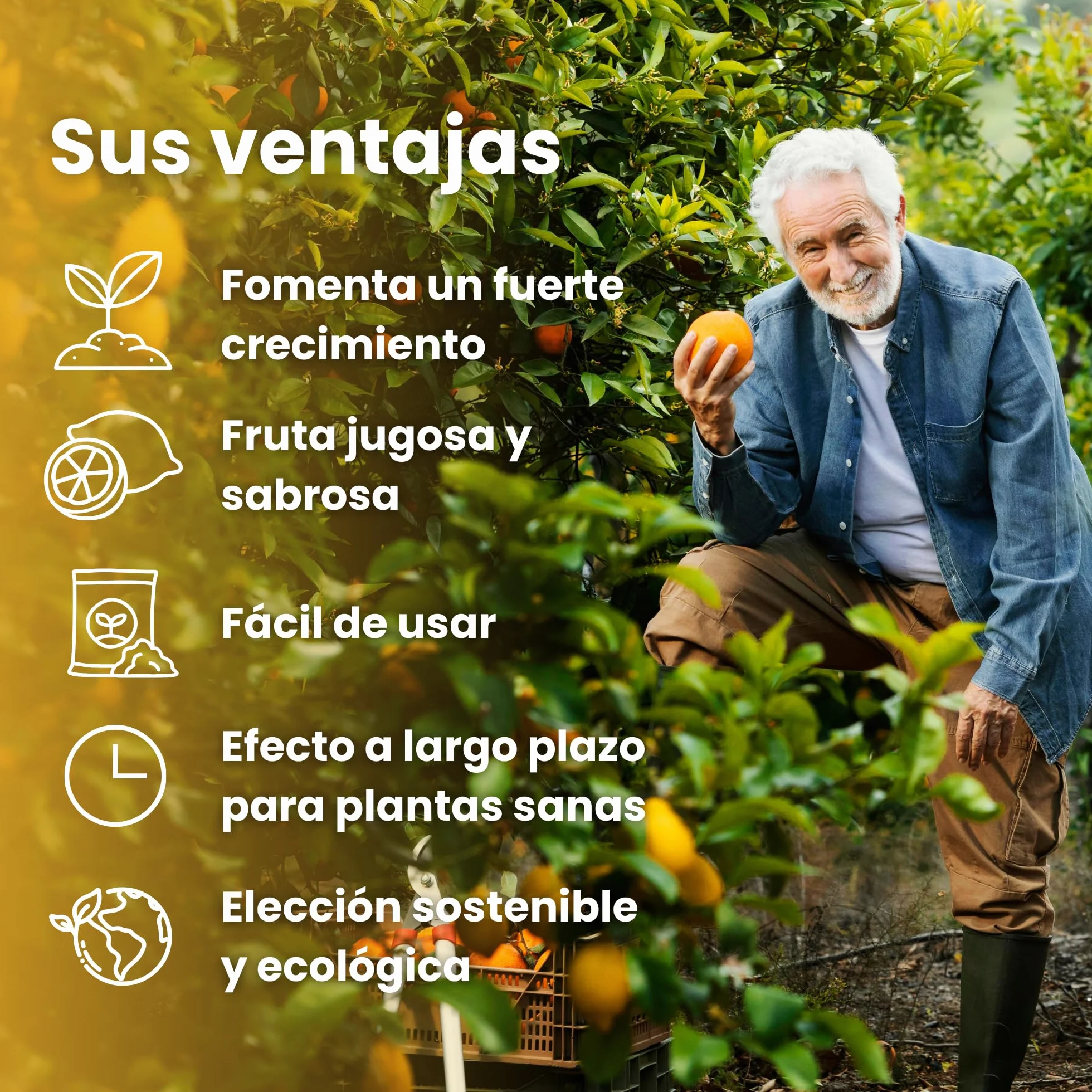 LERAVA Abono cítricos 800g Fertilizante orgánico para cítricos