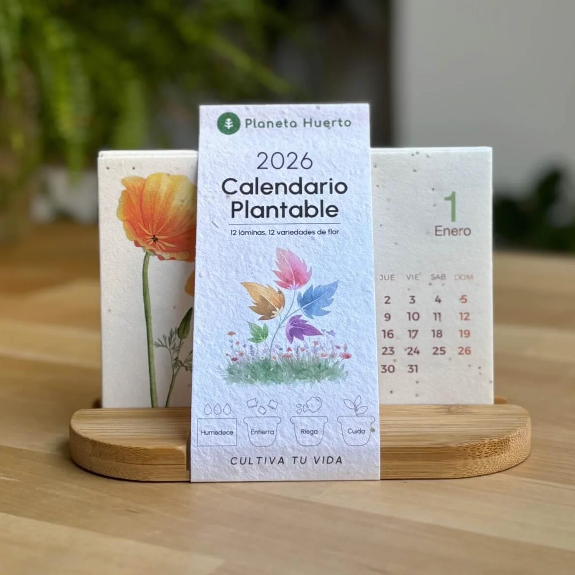 Planeta HUERTO Calendario Plantable 2025 Ecológico Sostenible Cultivar Flores Mes a Mes