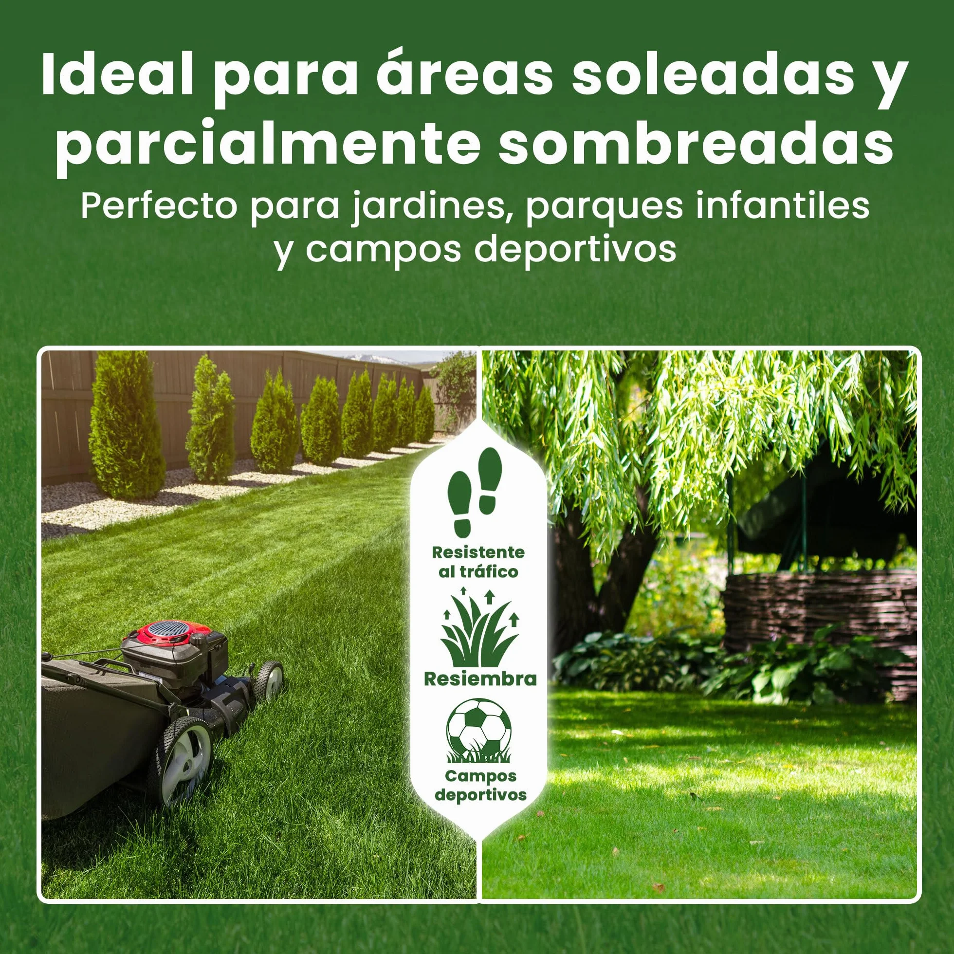 LERAVA EXPRESS semillas césped 30m² crecimiento rápido resistente calor 0,75kg