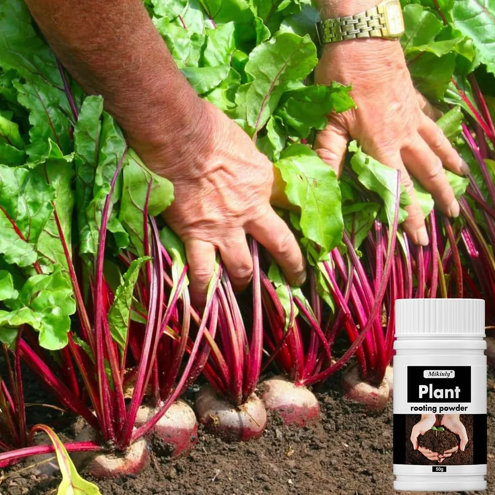 Polvo de Enraizamiento para Esquejes, Hormona de Enraizamiento (50g)