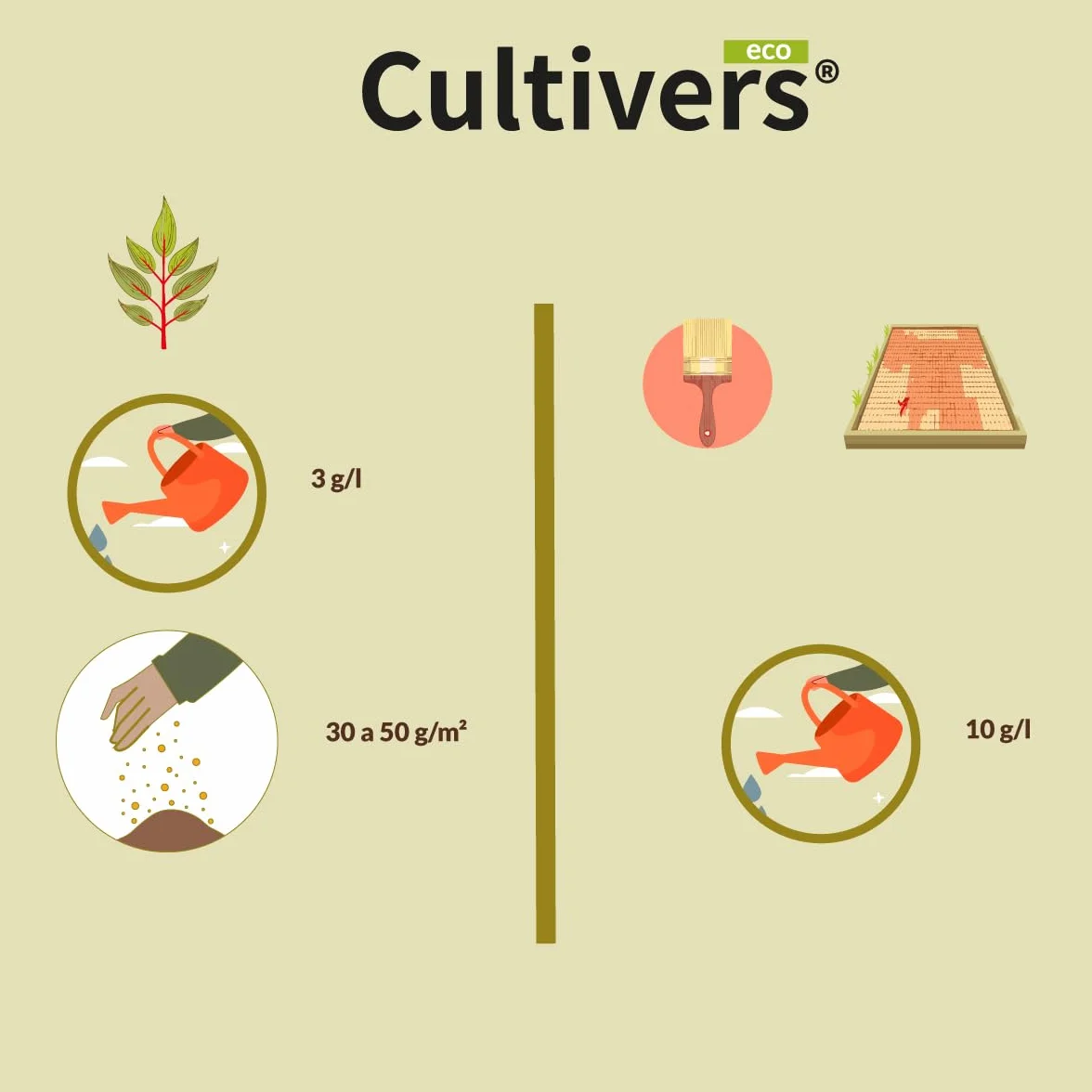 CULTIVERS Sulfato de Hierro Heptahidratado Granulado 2x1 kg para Jardinería y Hogar