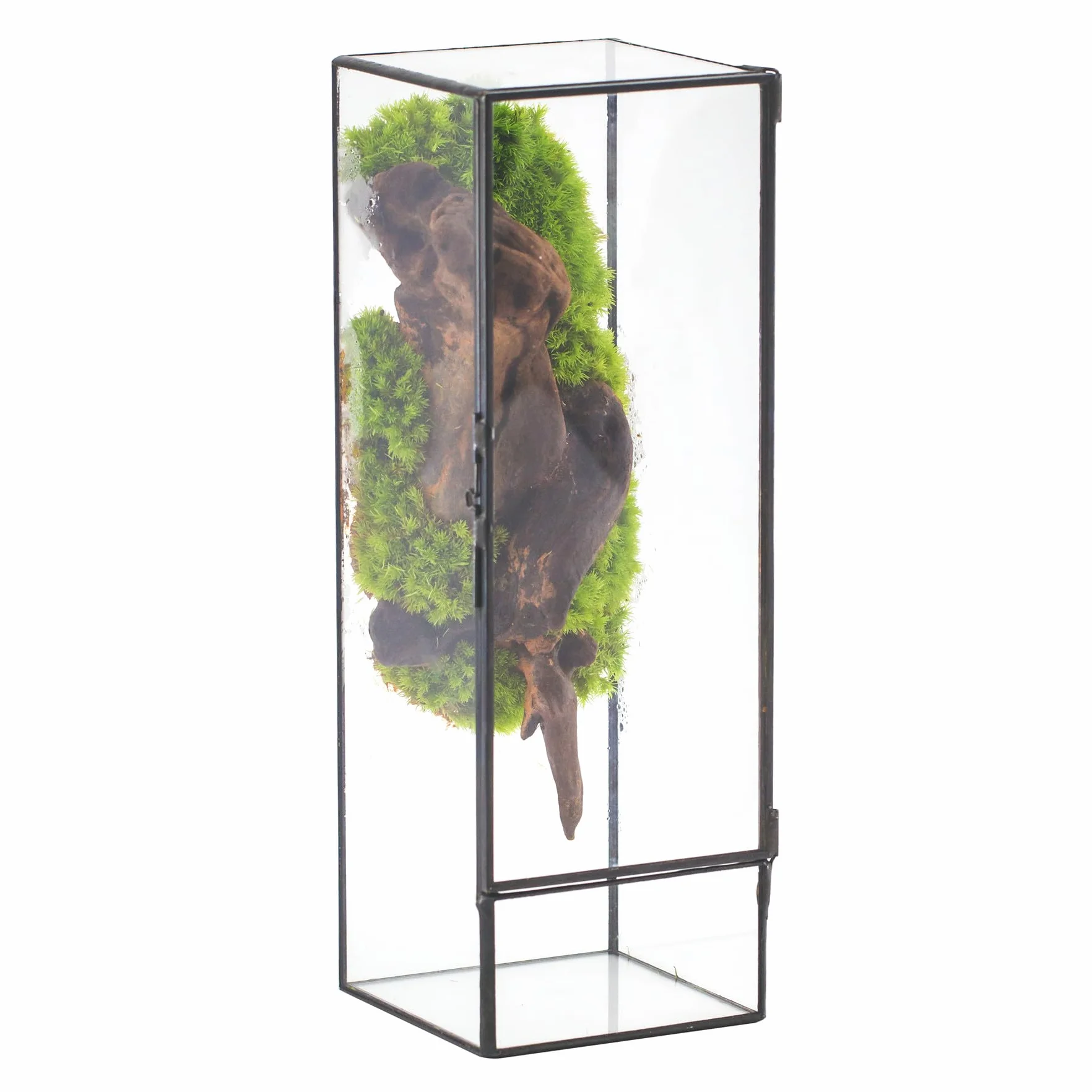 NCYP Terrario de vidrio cerrado con puerta, maceta rectangular geométrica de vidrio de 3.9 x 3.9 x 11.8 pulgadas para helecho, plantas suculentas, decoración de jardín del hogar DIY (solo terrario,