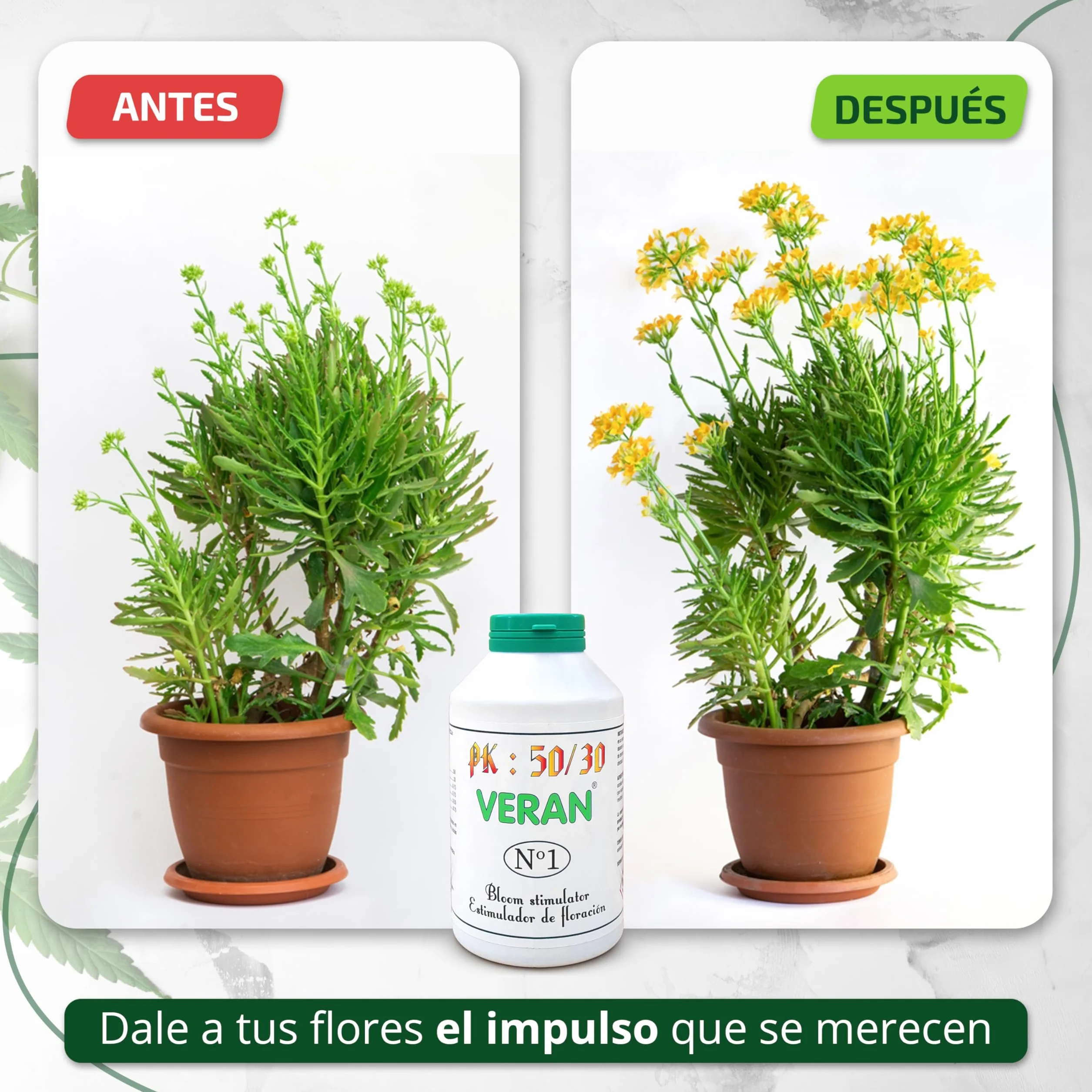 VERAN Abono Maria PK 50-30 125gr Fertilizante Cogollos
