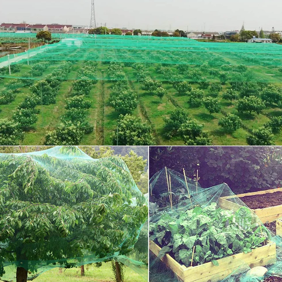 GWHOLE Malla Antipájaros 10m x 4m Roja Protección para Jardín Cultivos Plantas