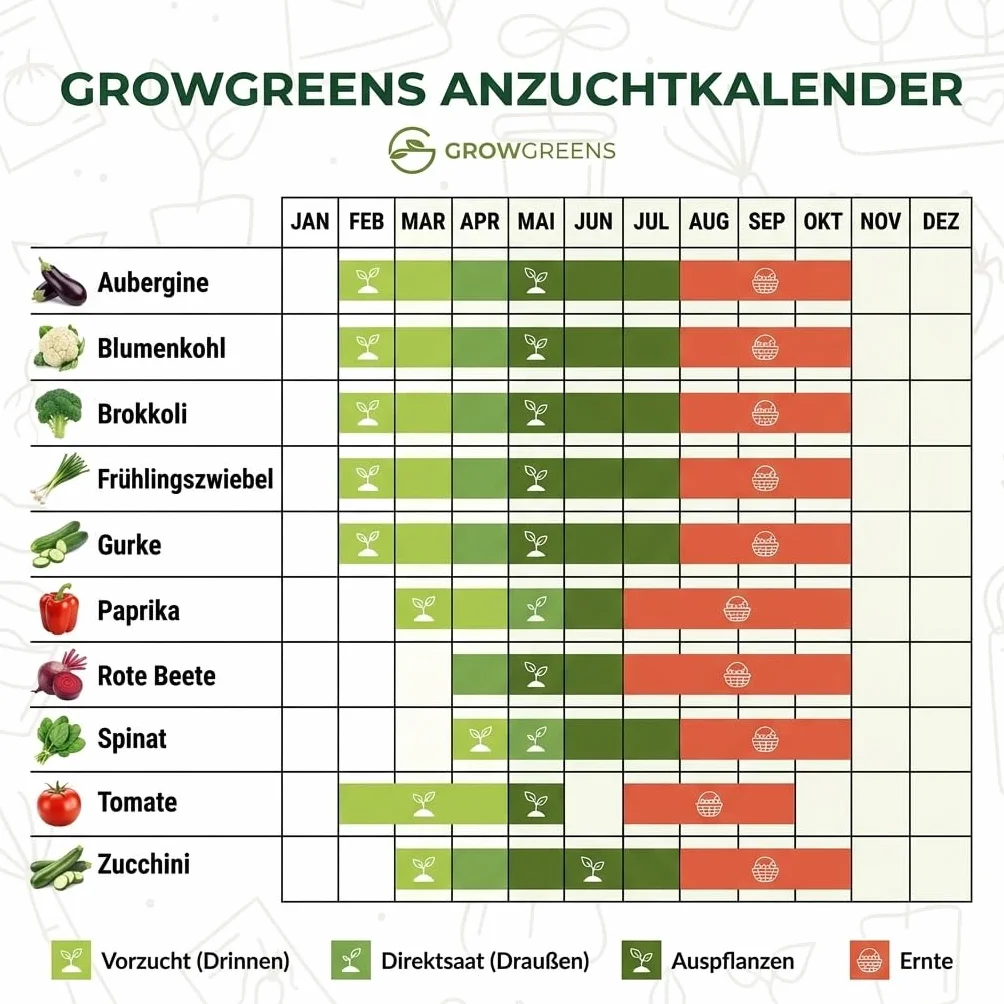 BIO Kit de Semillas Huerto Ecológicas 10 Variedades Verduras para Cultivar Huerto Urbano