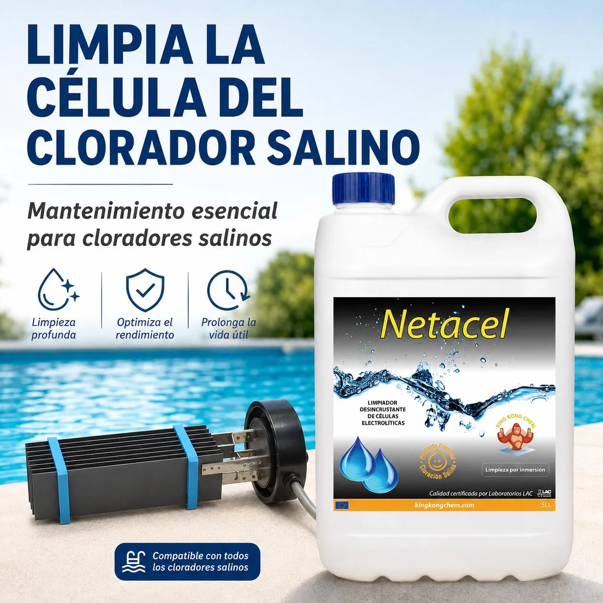NETACEL 5 litros Limpiador desincrustante para célula clorador salino