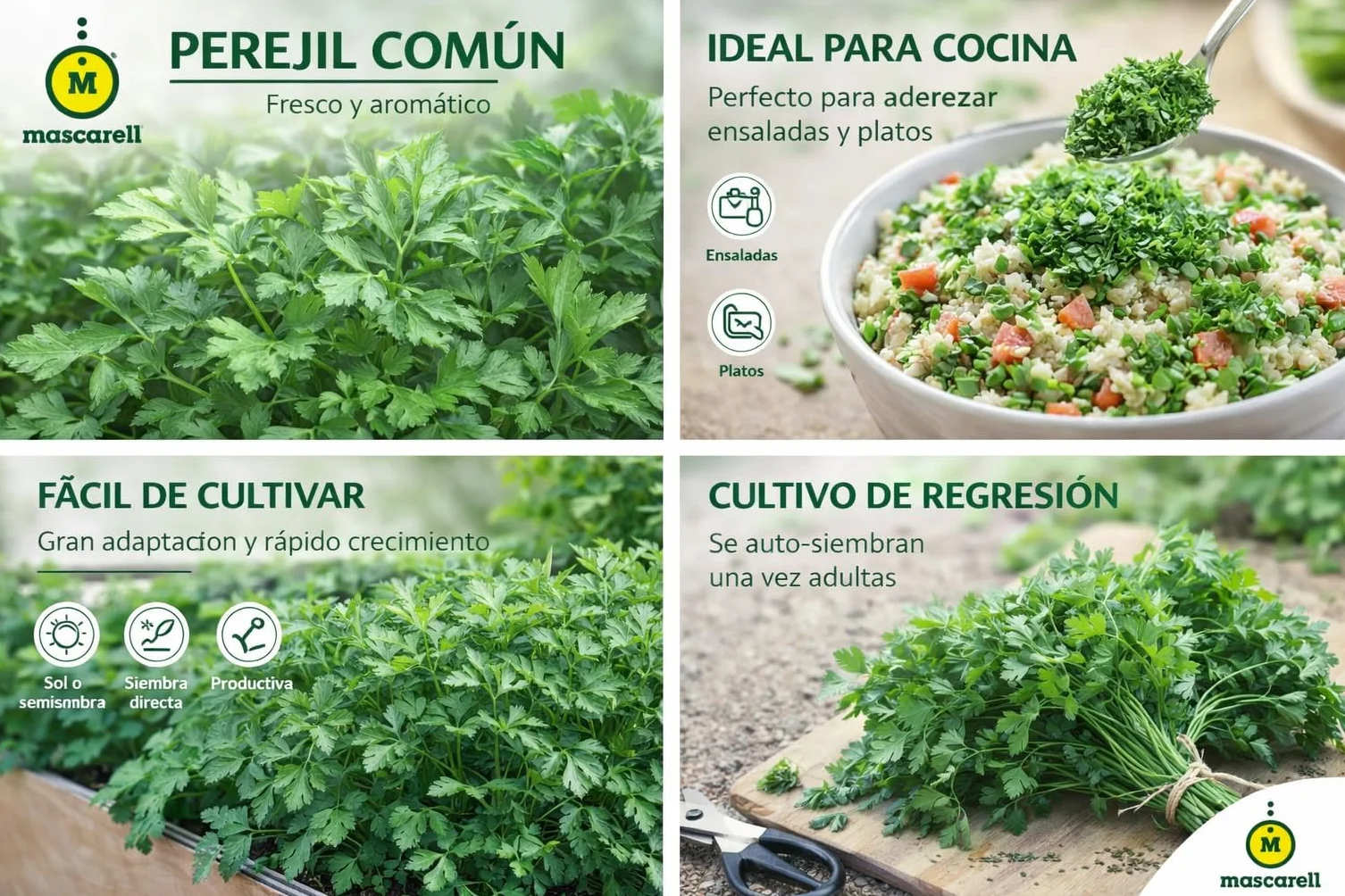 PEREJIL Semillas Huerto, PEREJIL COMÚN, Crea tu Propio Huerto Urbano, 15g