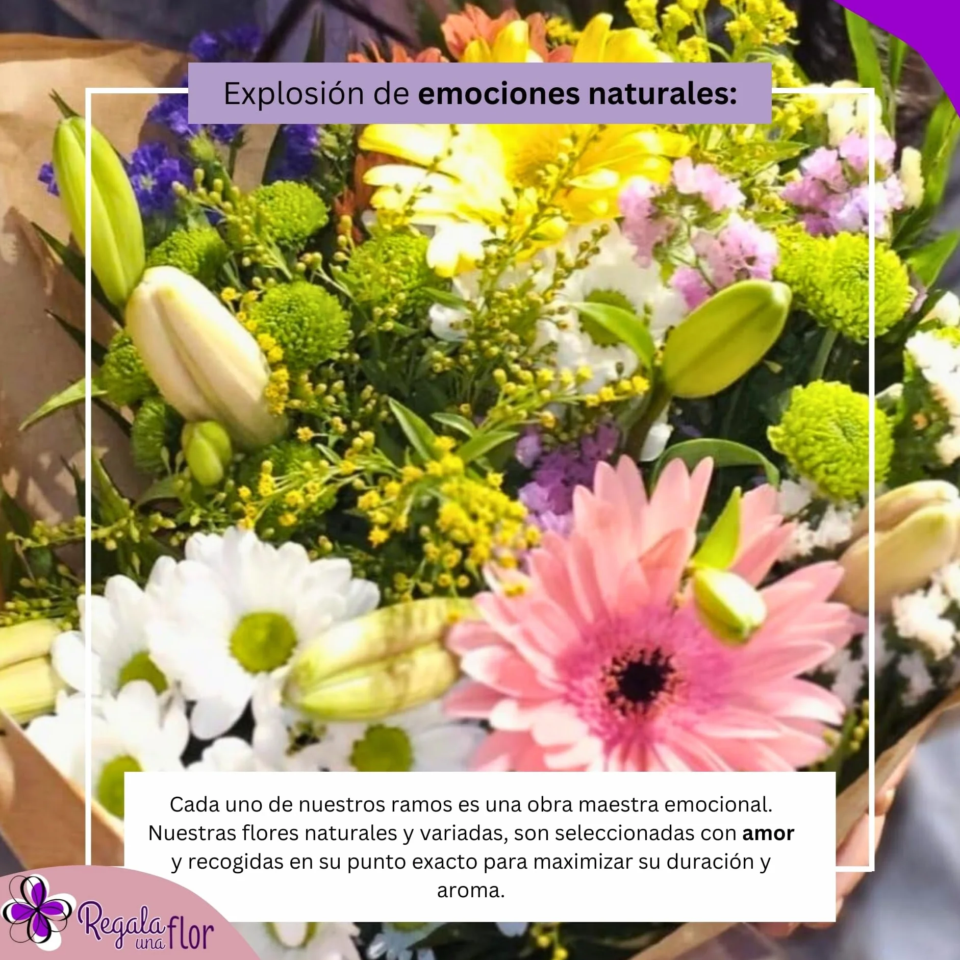 Ramo de flores naturales a domicilio con tarjeta de dedicatoria Primavera