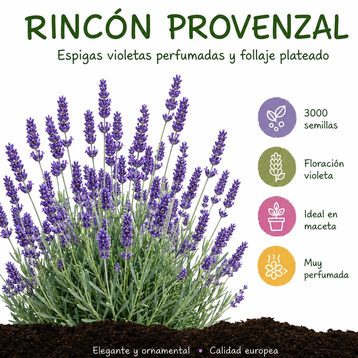 Semillas de Lavanda Lavandula angustifolia 3000 semillas Aroma intenso flores violetas para jardín y macetas Calidad Europea